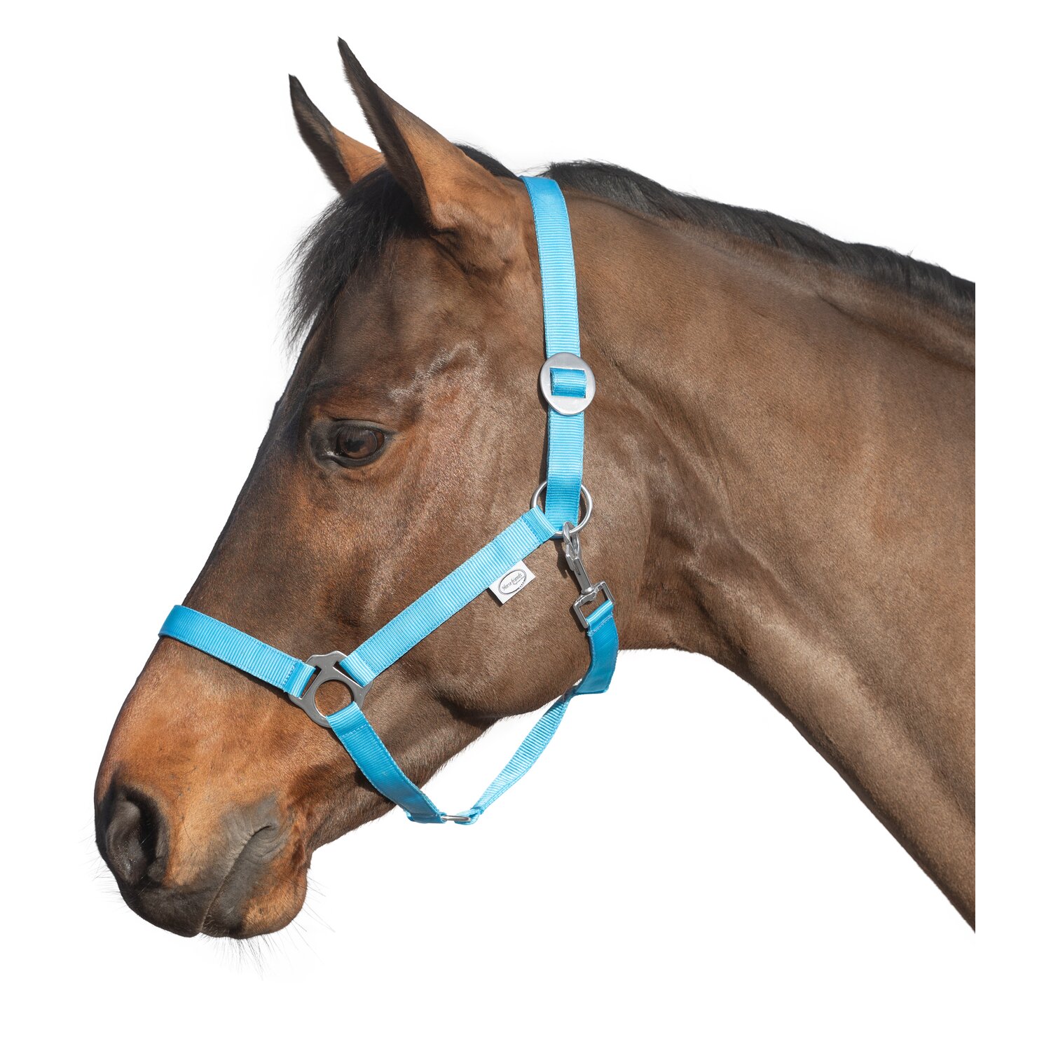 Loesdau Webhalfter – Ansicht 1