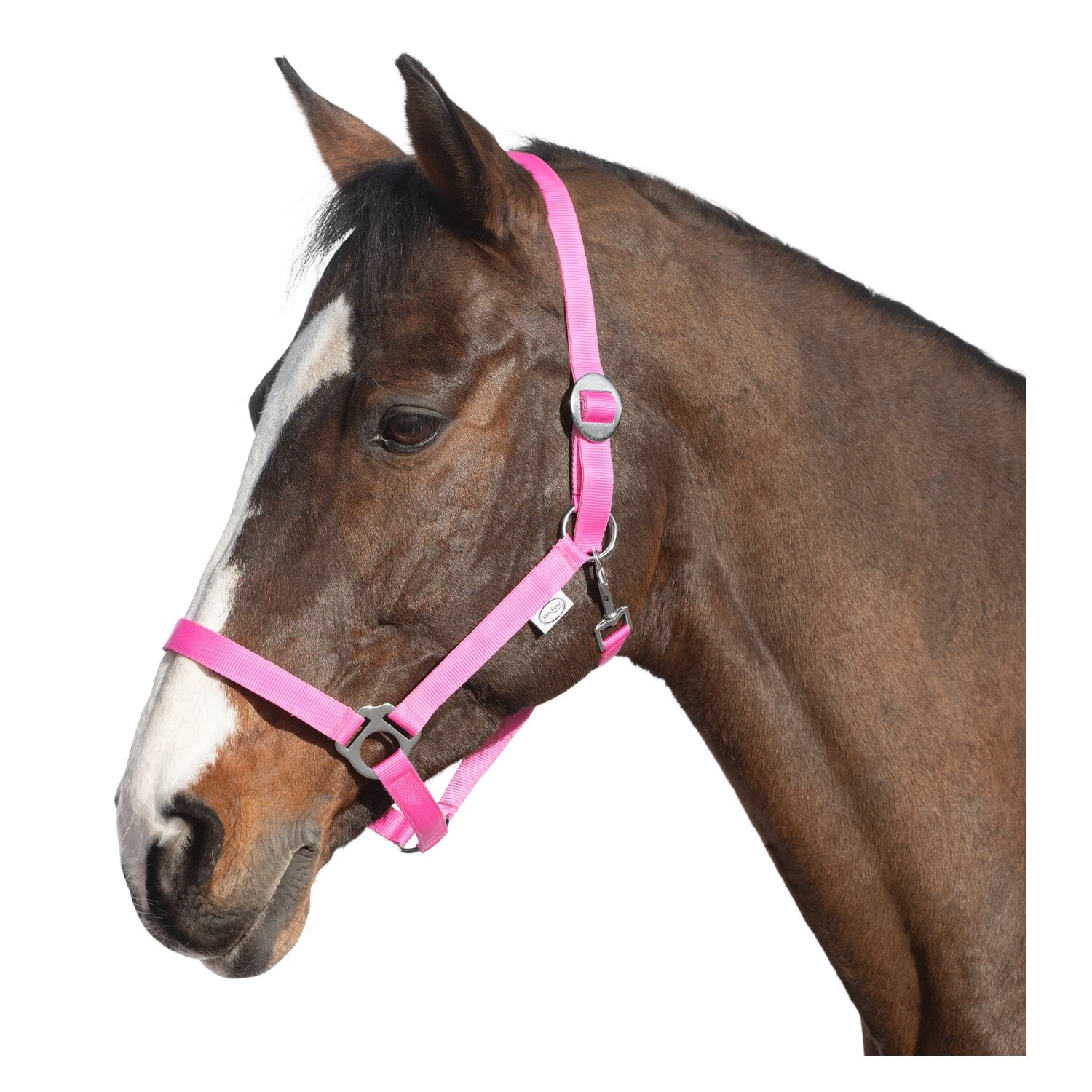 Loesdau Webhalfter – Ansicht 1