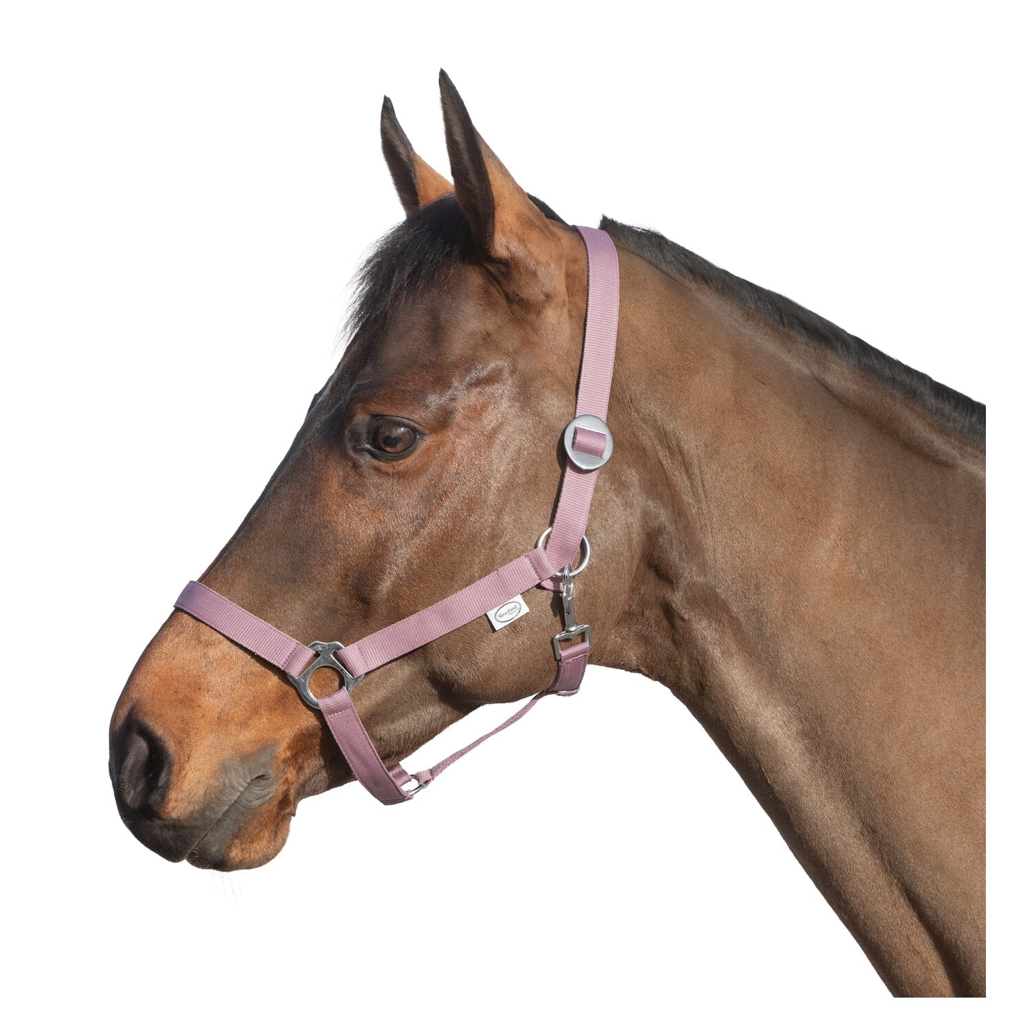 Loesdau Webhalfter – Ansicht 1