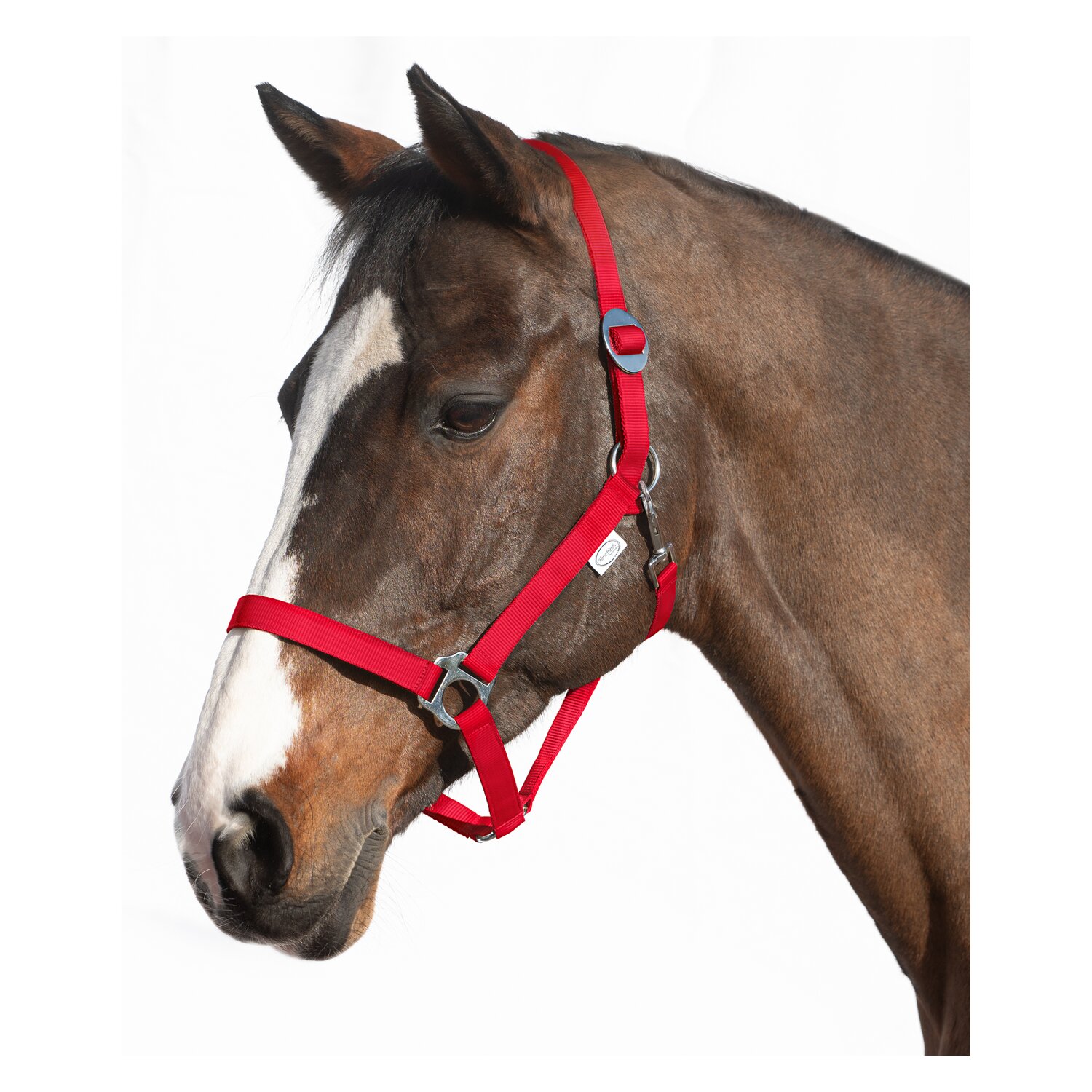 Loesdau Webhalfter – Ansicht 1