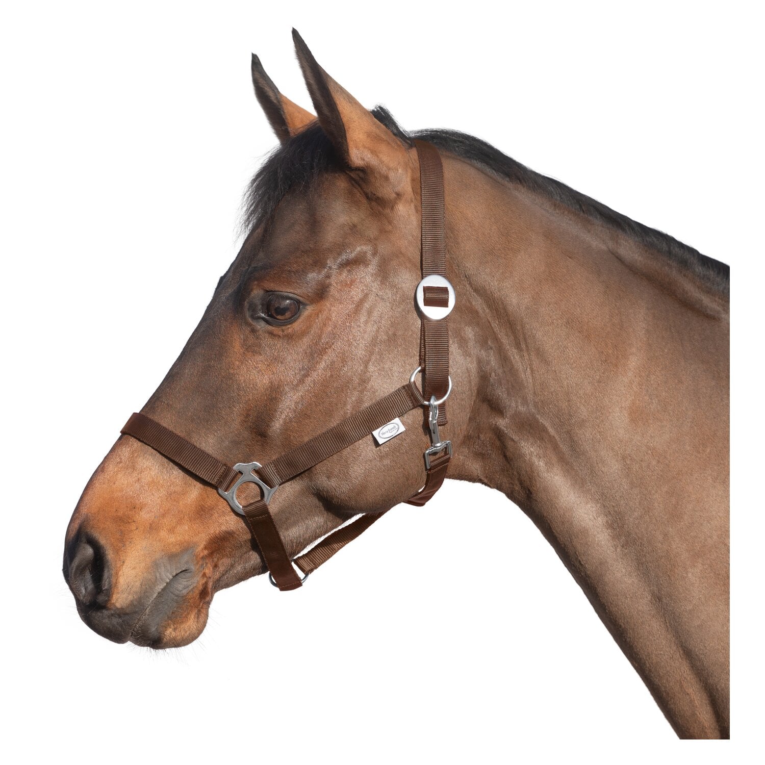 Loesdau Webhalfter – Ansicht 1