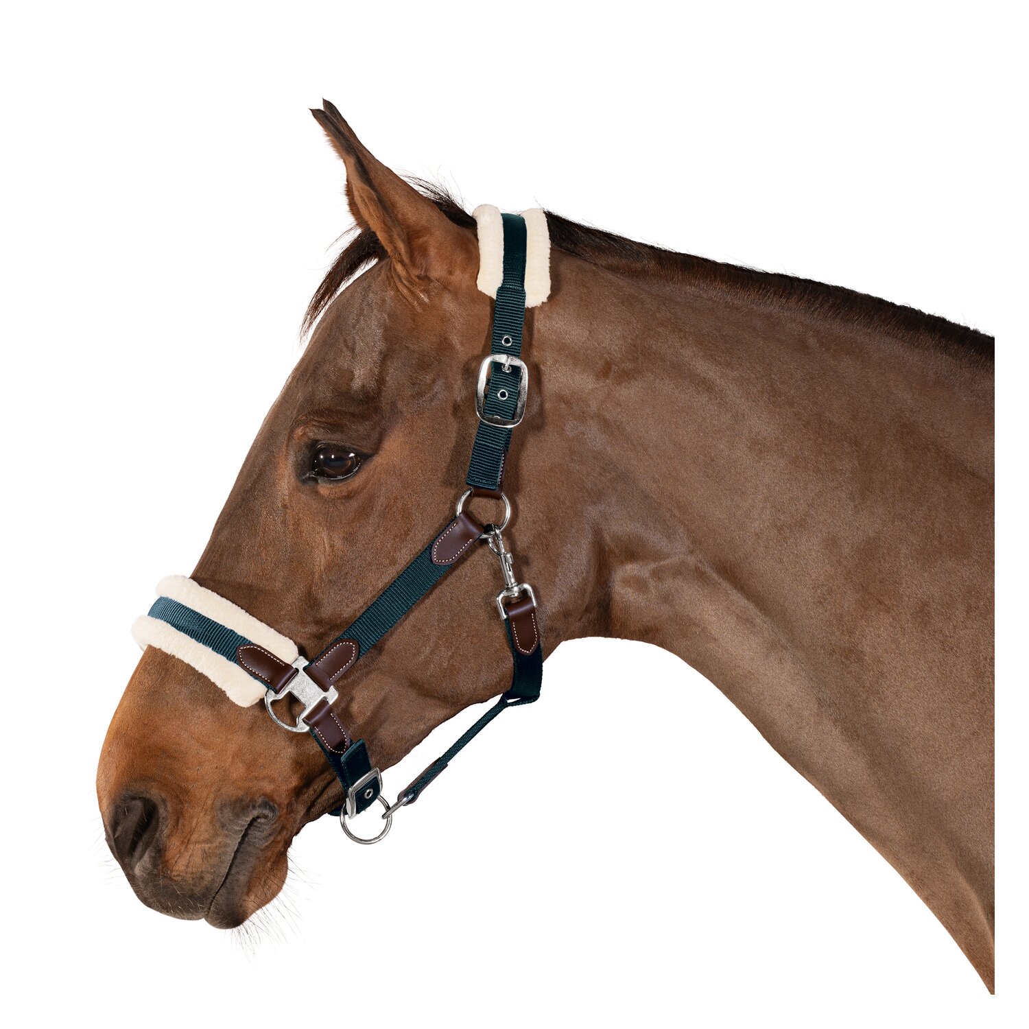Horse-friends Webhalfter Faux Fur und Kunstleder