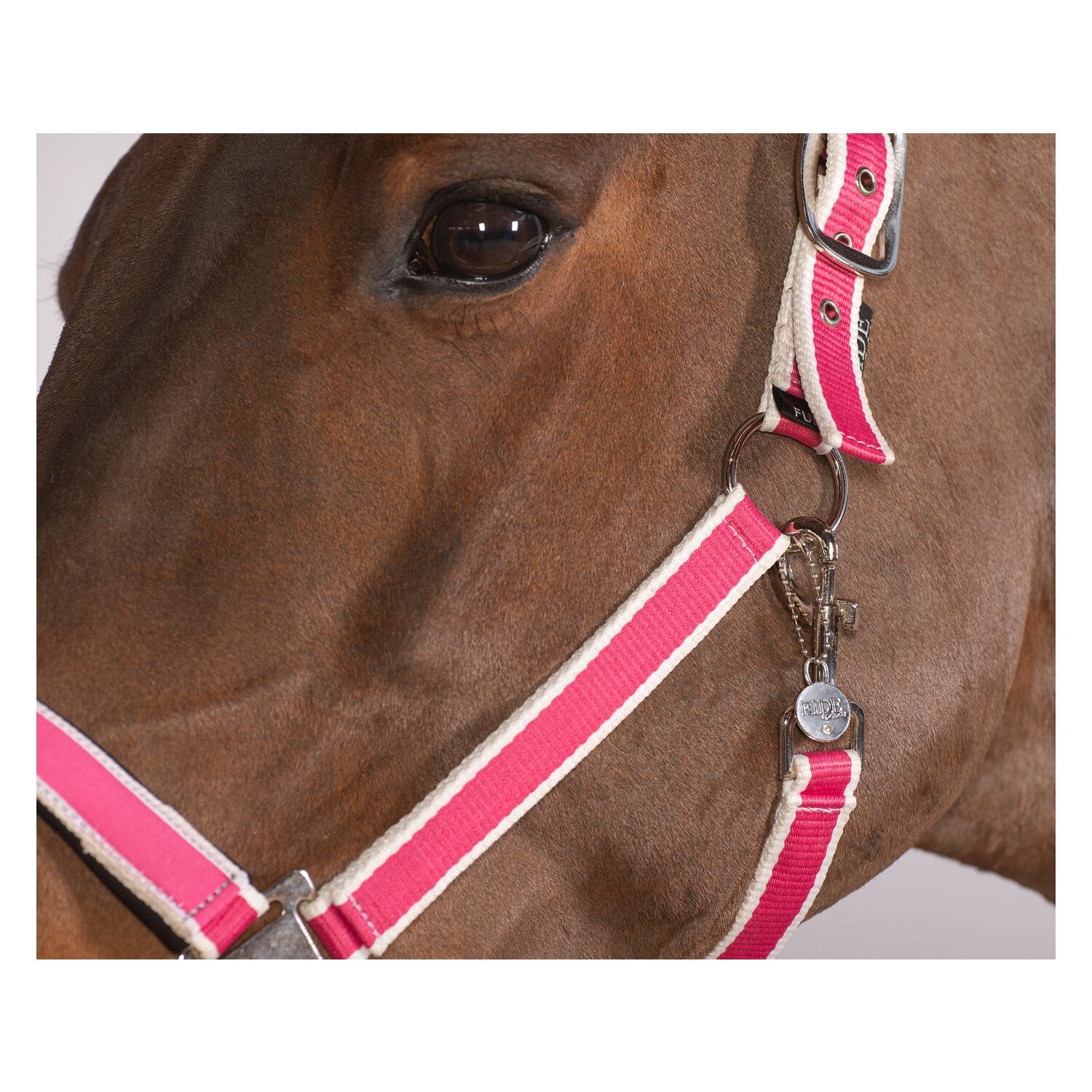RIDE now Webhalfter &ndash; Ansicht 3