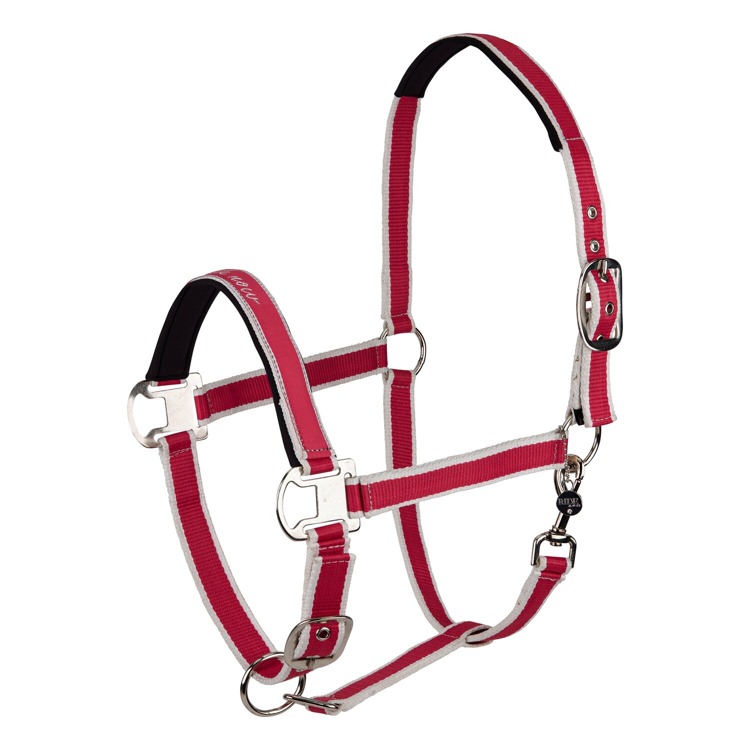 RIDE now Webhalfter &ndash; Ansicht 1