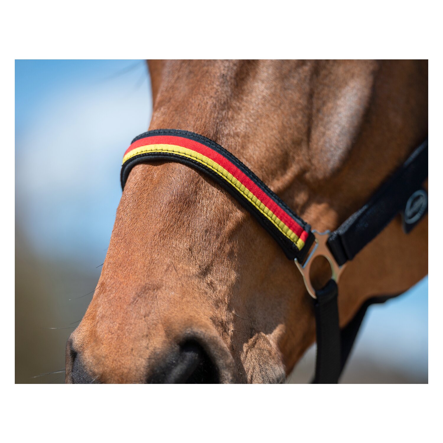 Horse-friends Halfter Deutschland WM 2026 &ndash; Ansicht 2