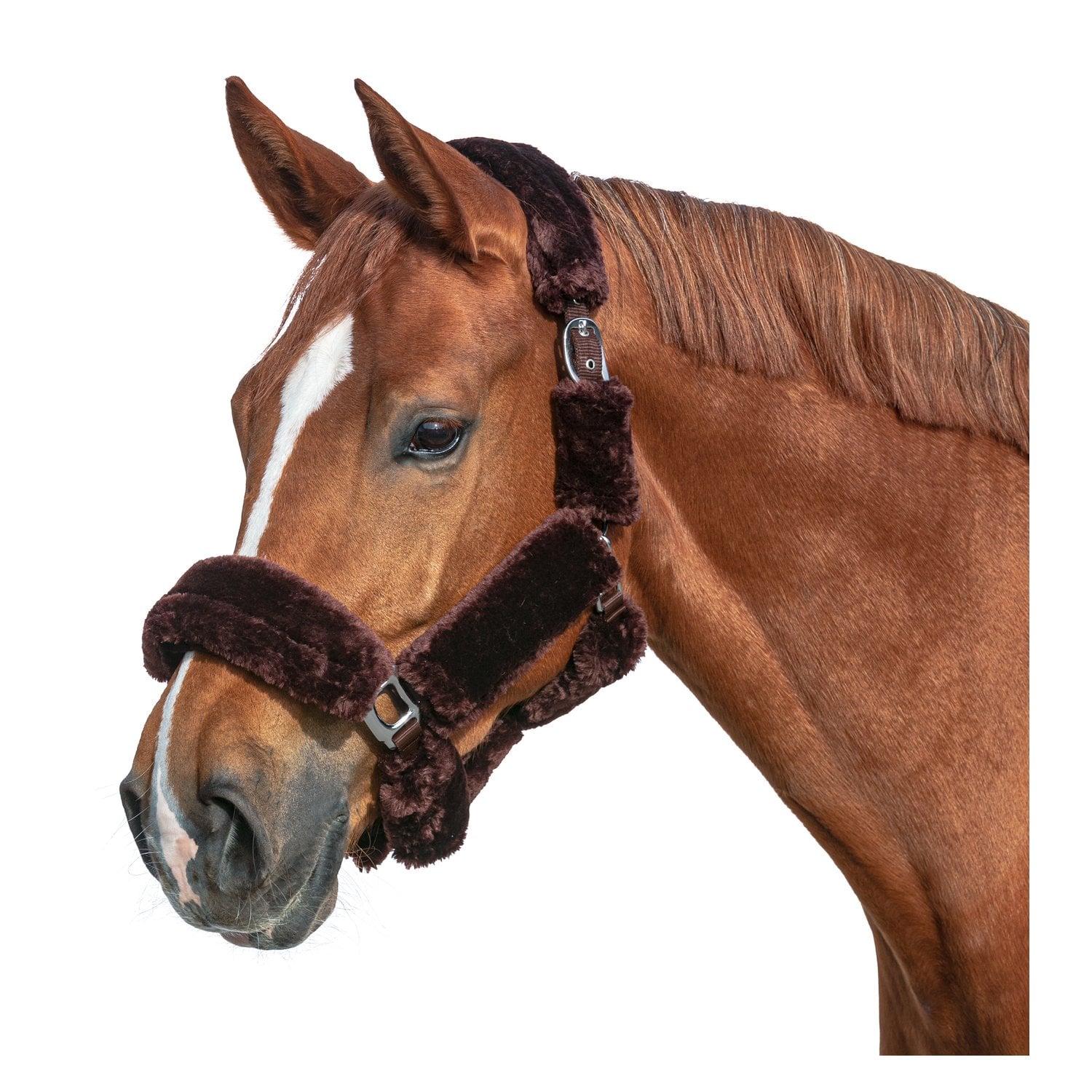 black forest Halfter Faux Fur Barcelona &ndash; Ansicht 1