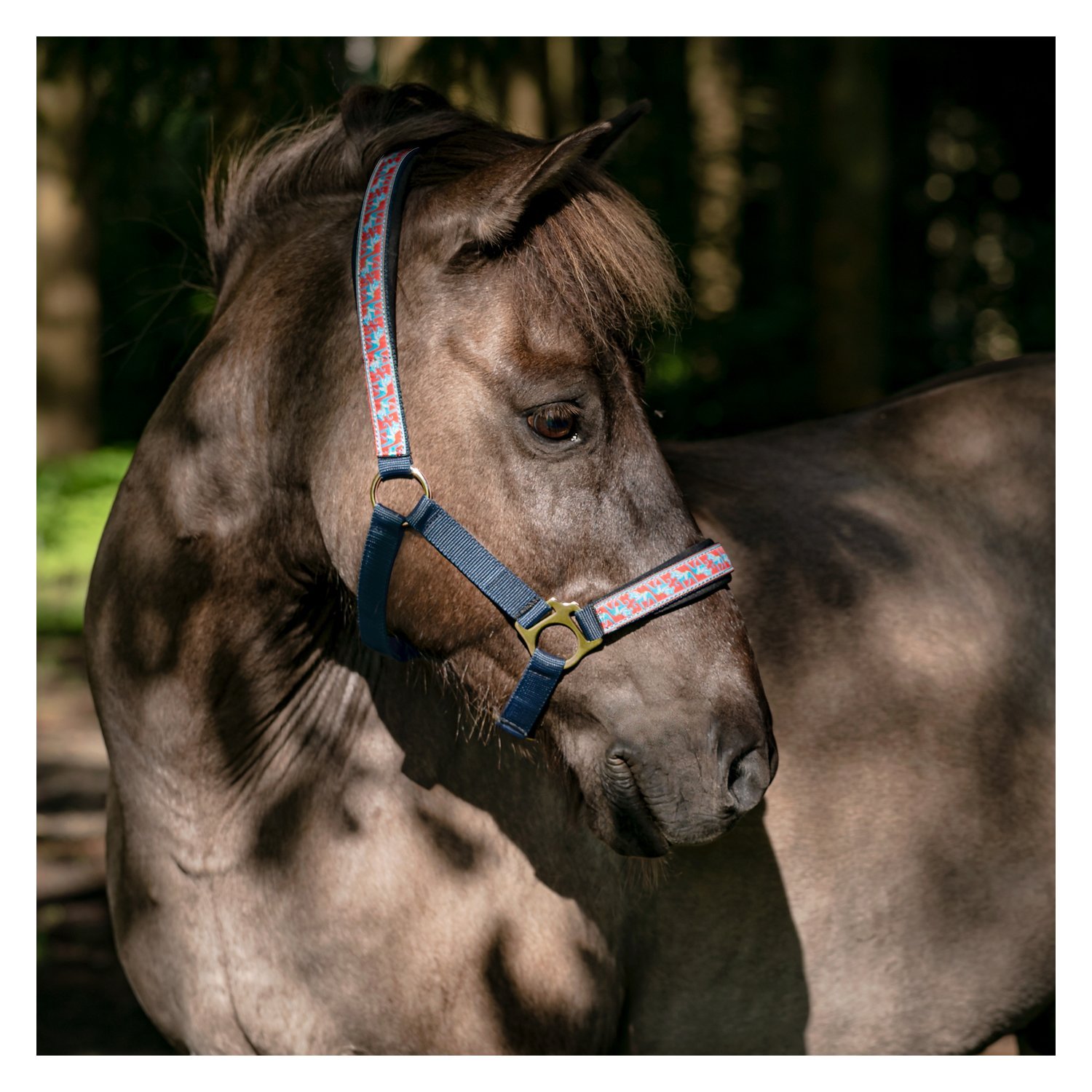 Loesdau Halfter Akureyri – Ansicht 2