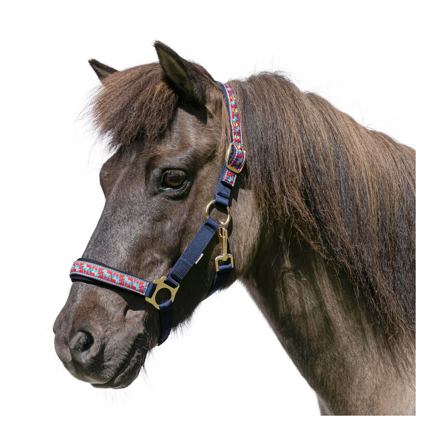 Loesdau Halfter Akureyri – Ansicht 1