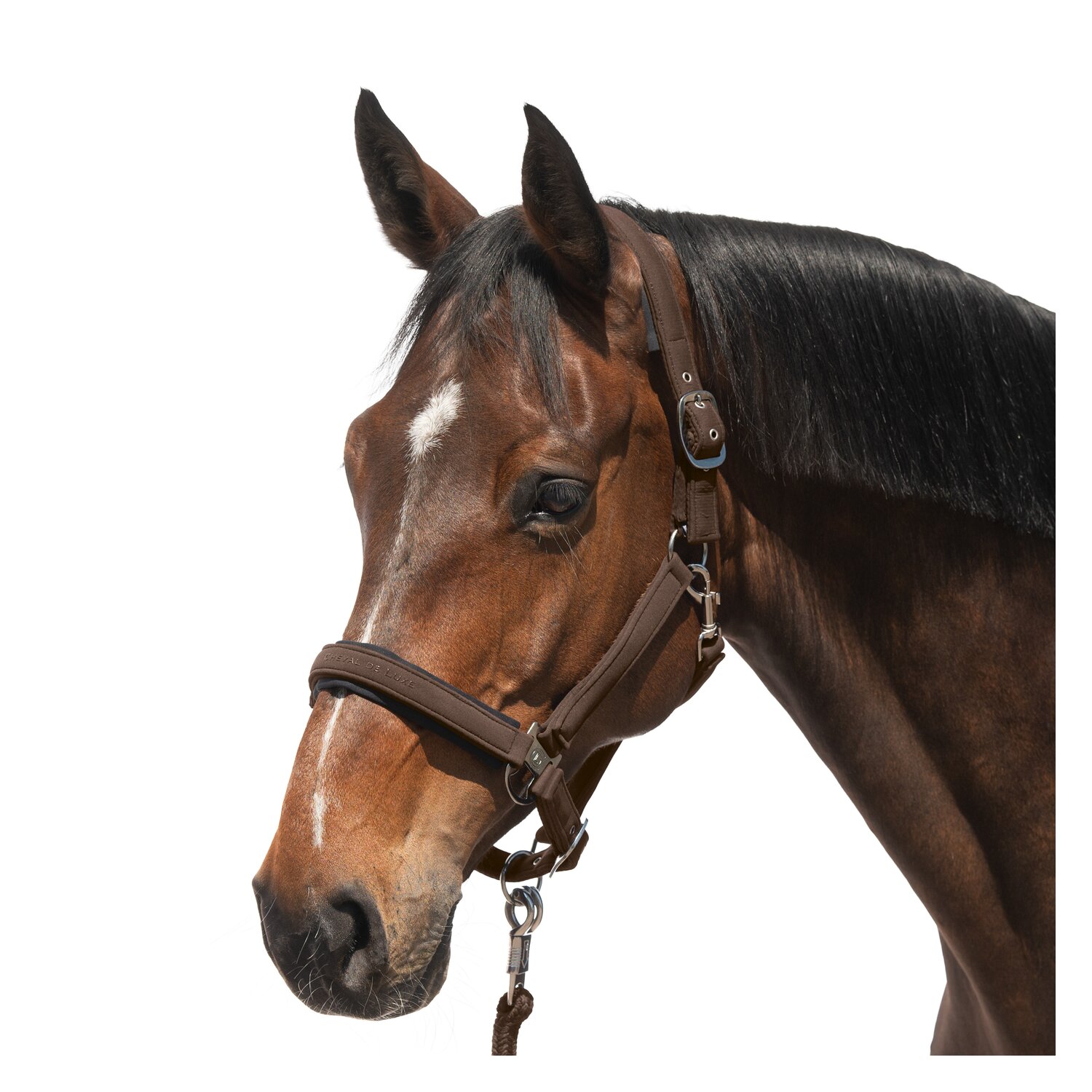 Cheval de Luxe Halfter Toulouse – Ansicht 1