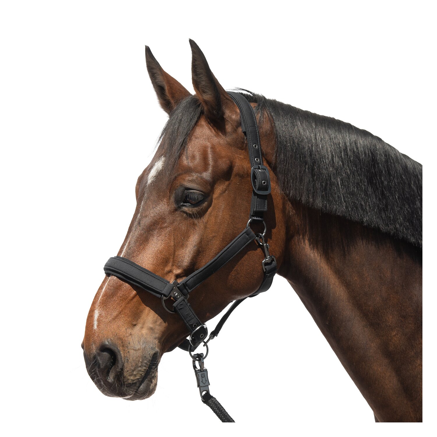 Cheval de Luxe Halfter Toulouse – Ansicht 1
