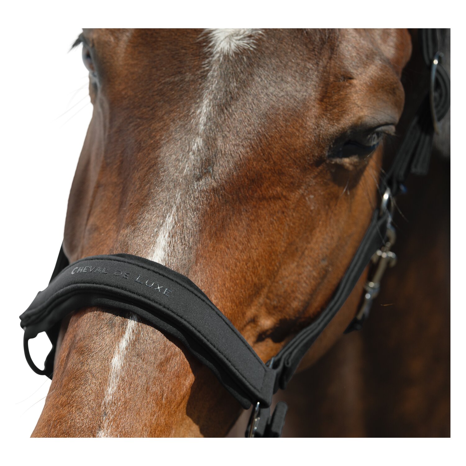 Cheval de Luxe Halfter Toulouse – Ansicht 2