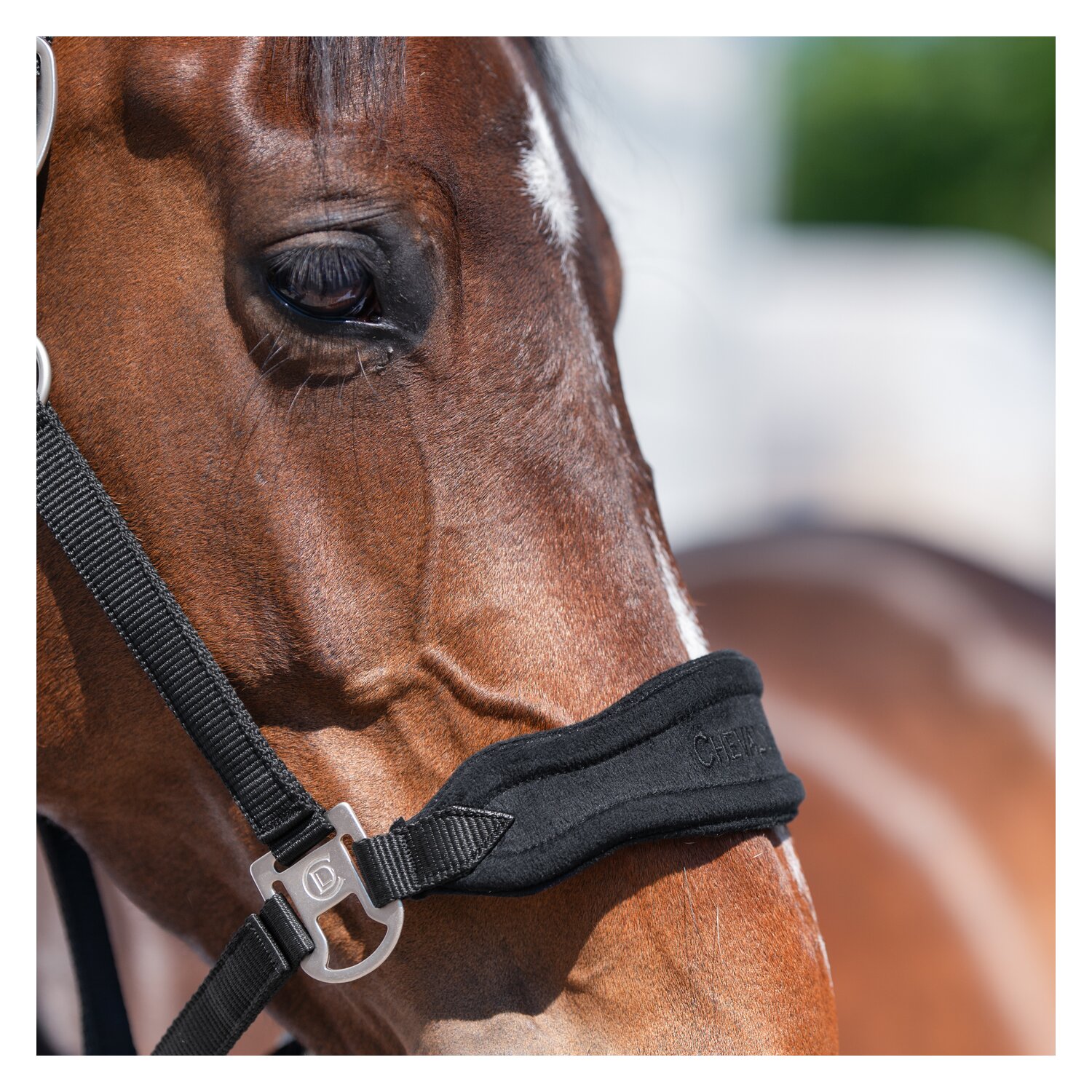 Cheval de Luxe Halfter Bayonne – Ansicht 2