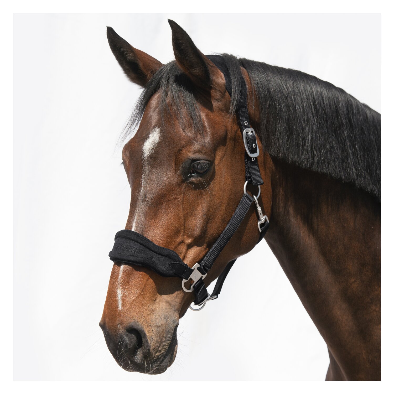 Cheval de Luxe Halfter Bayonne – Ansicht 1
