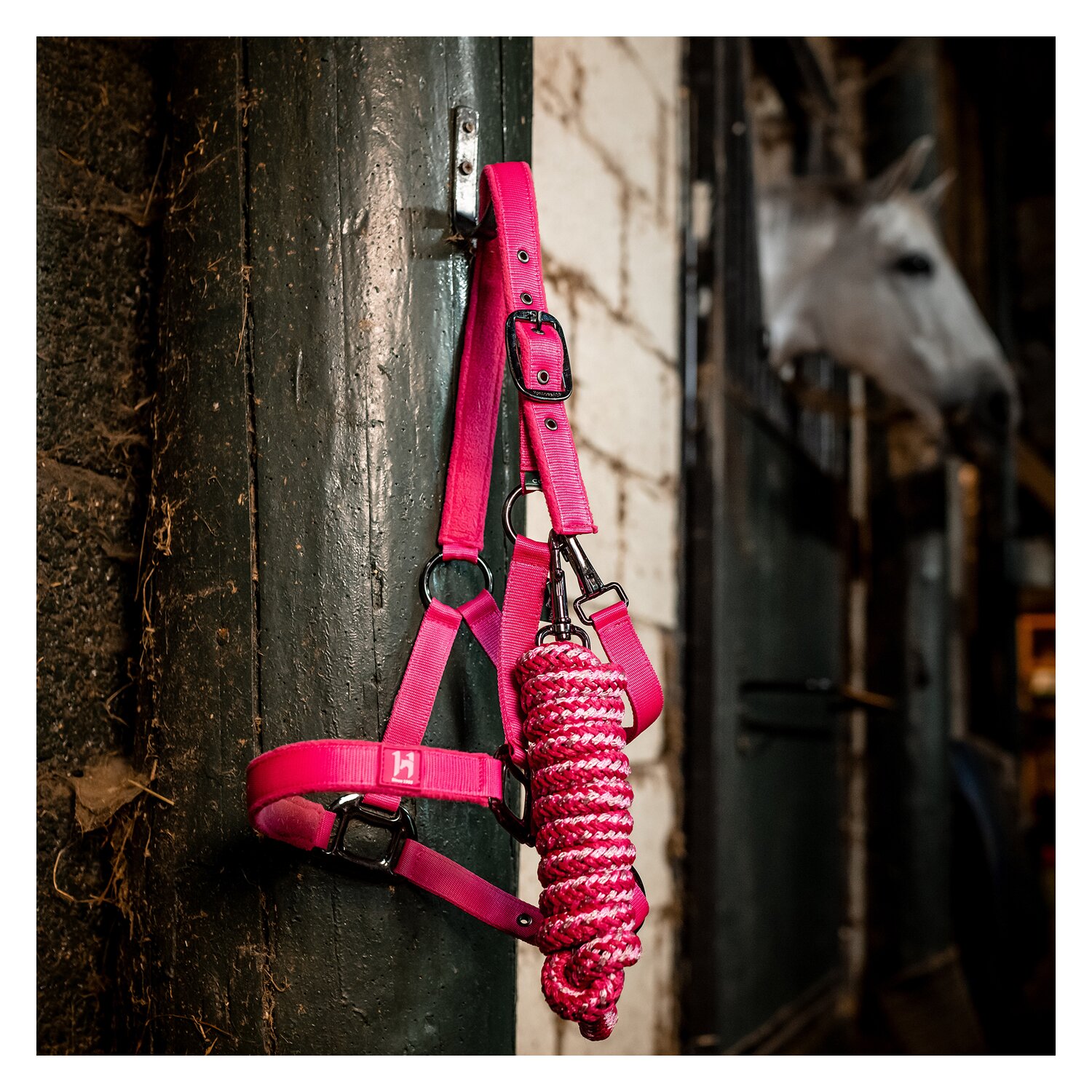 HORSEWARE Halfter und Führstrick Newmarket – Ansicht 4