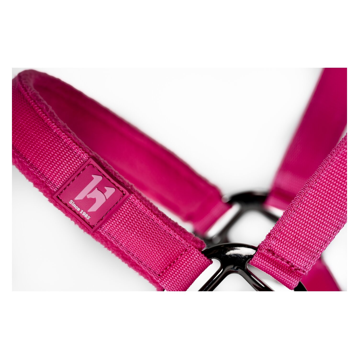 HORSEWARE Halfter und Führstrick Newmarket – Ansicht 2