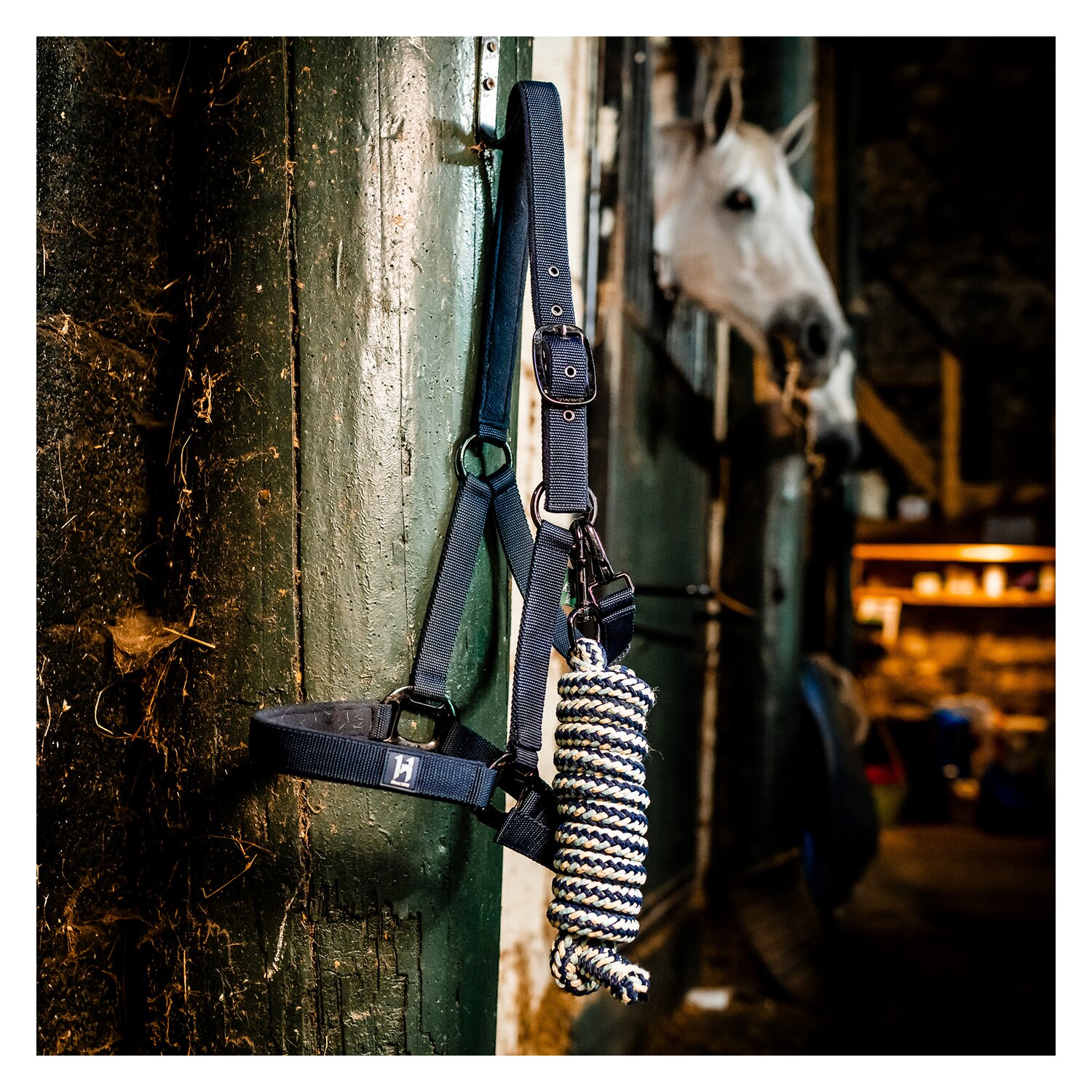 HORSEWARE Halfter und Führstrick Newmarket – Ansicht 5