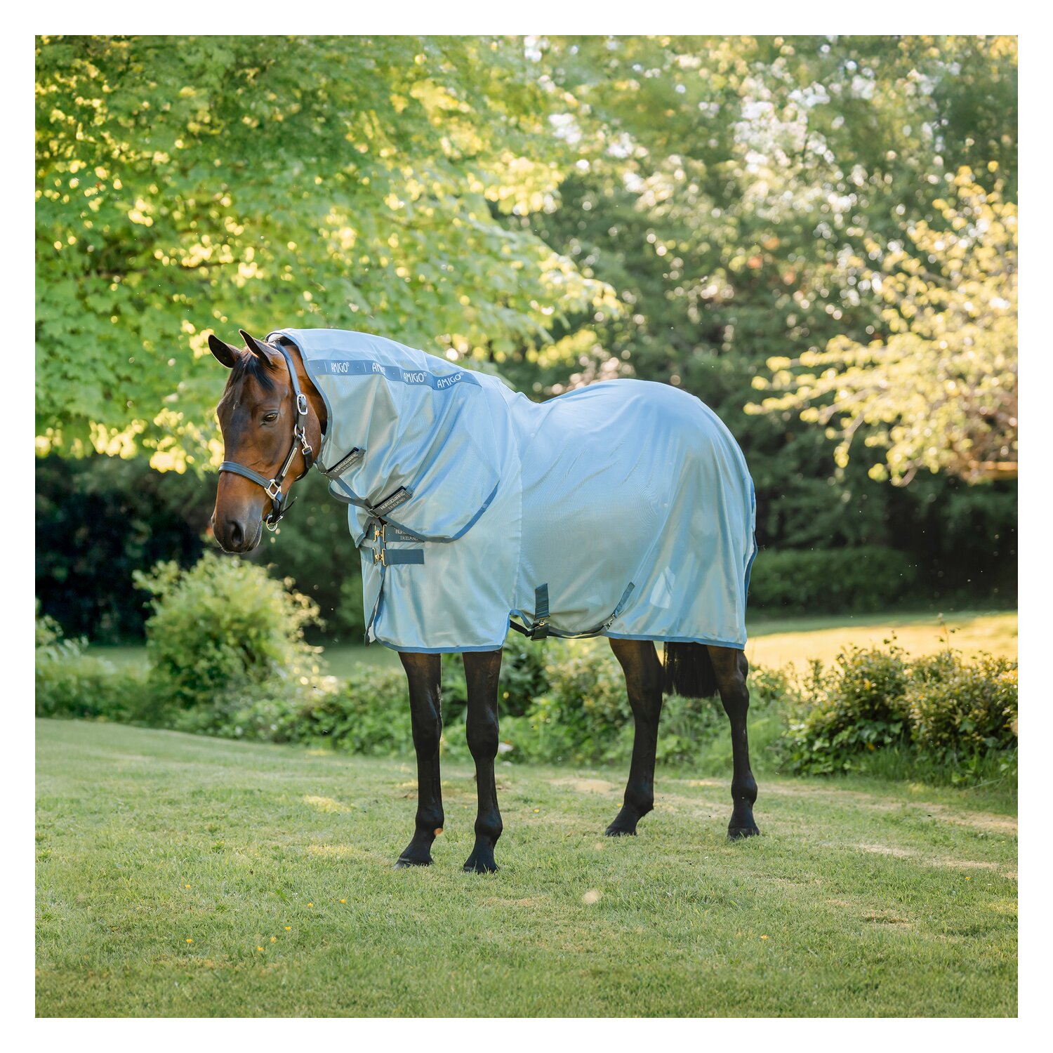 HORSEWARE Fliegendecke AMIGO Integrated Fly Sheet &ndash; Ansicht 1