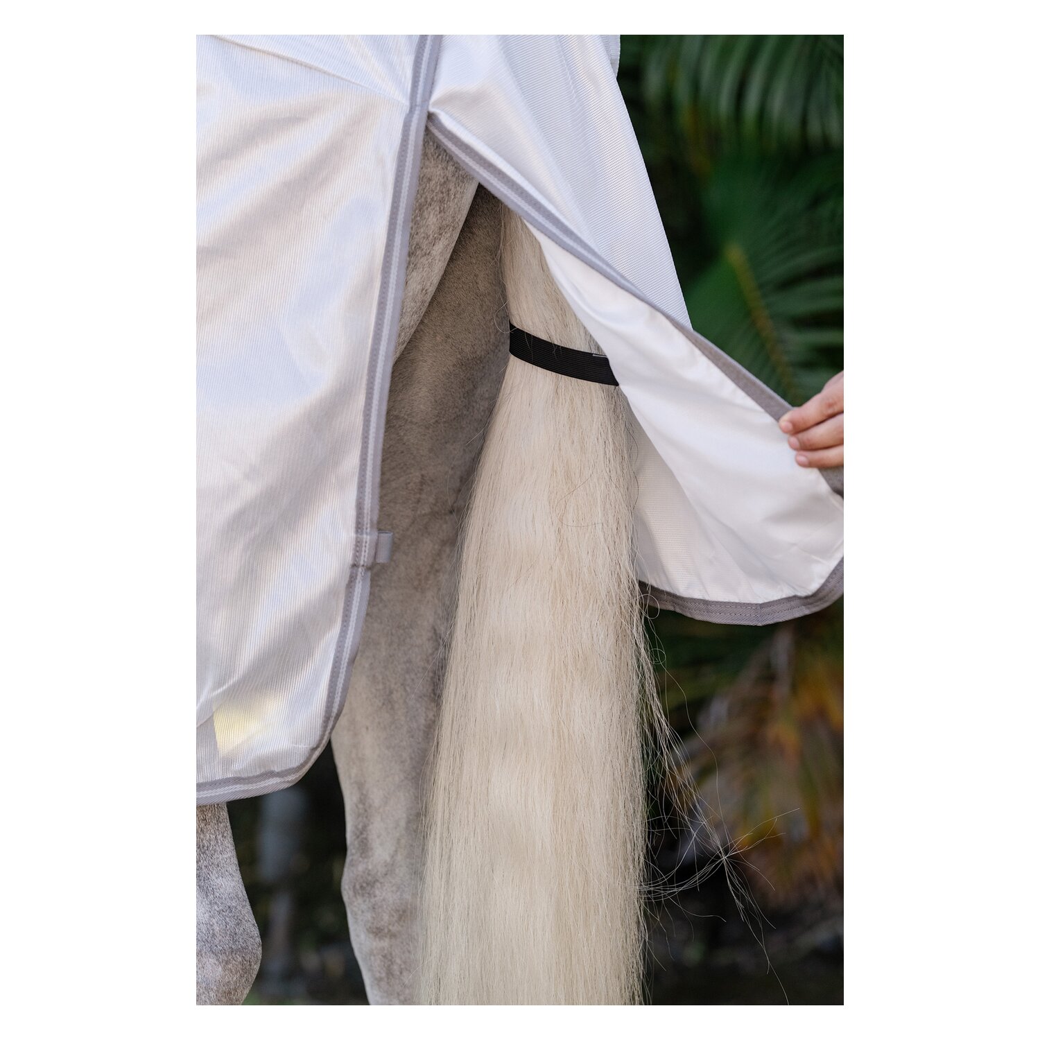 HORSEWARE Fliegendecke AMIGO Integrated Fly Sheet – Ansicht 6