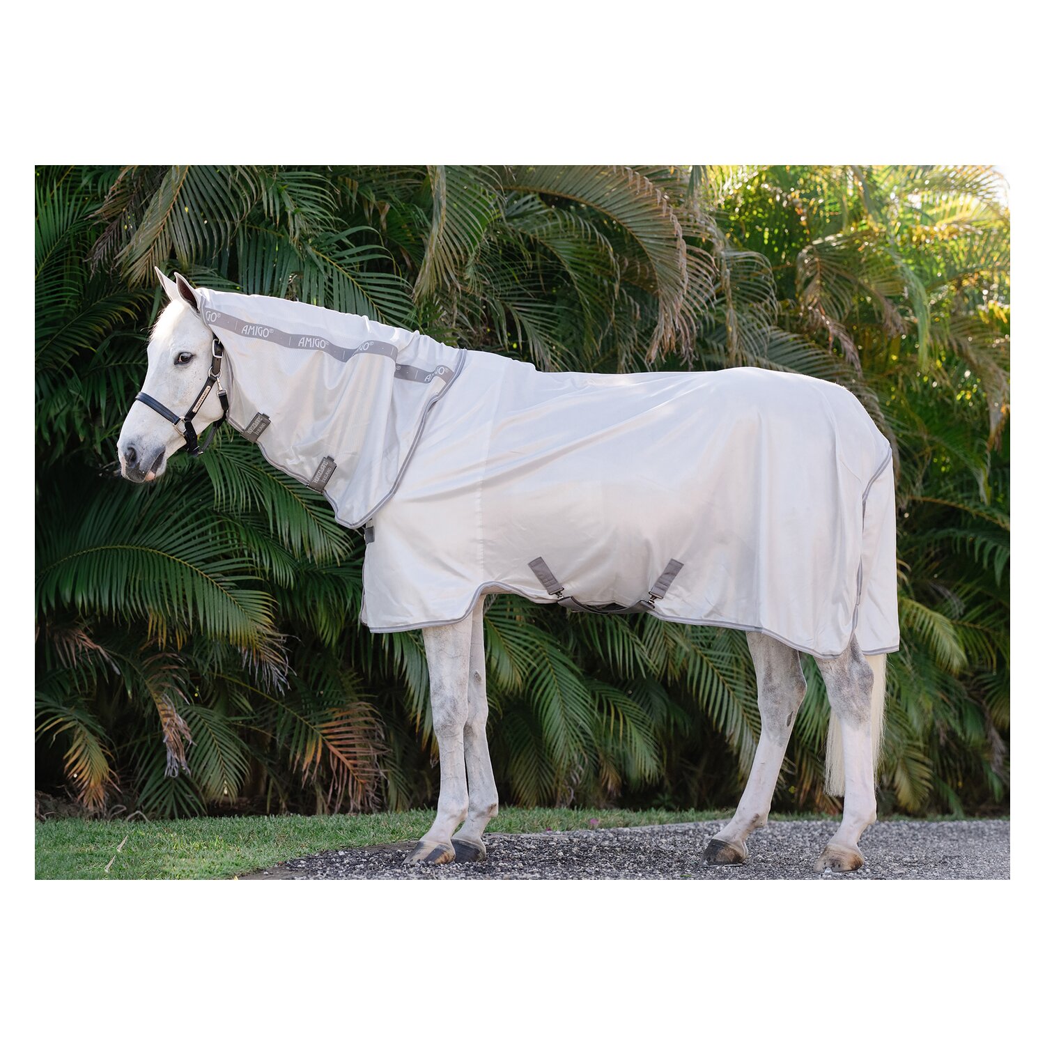 HORSEWARE Fliegendecke AMIGO Integrated Fly Sheet – Ansicht 1