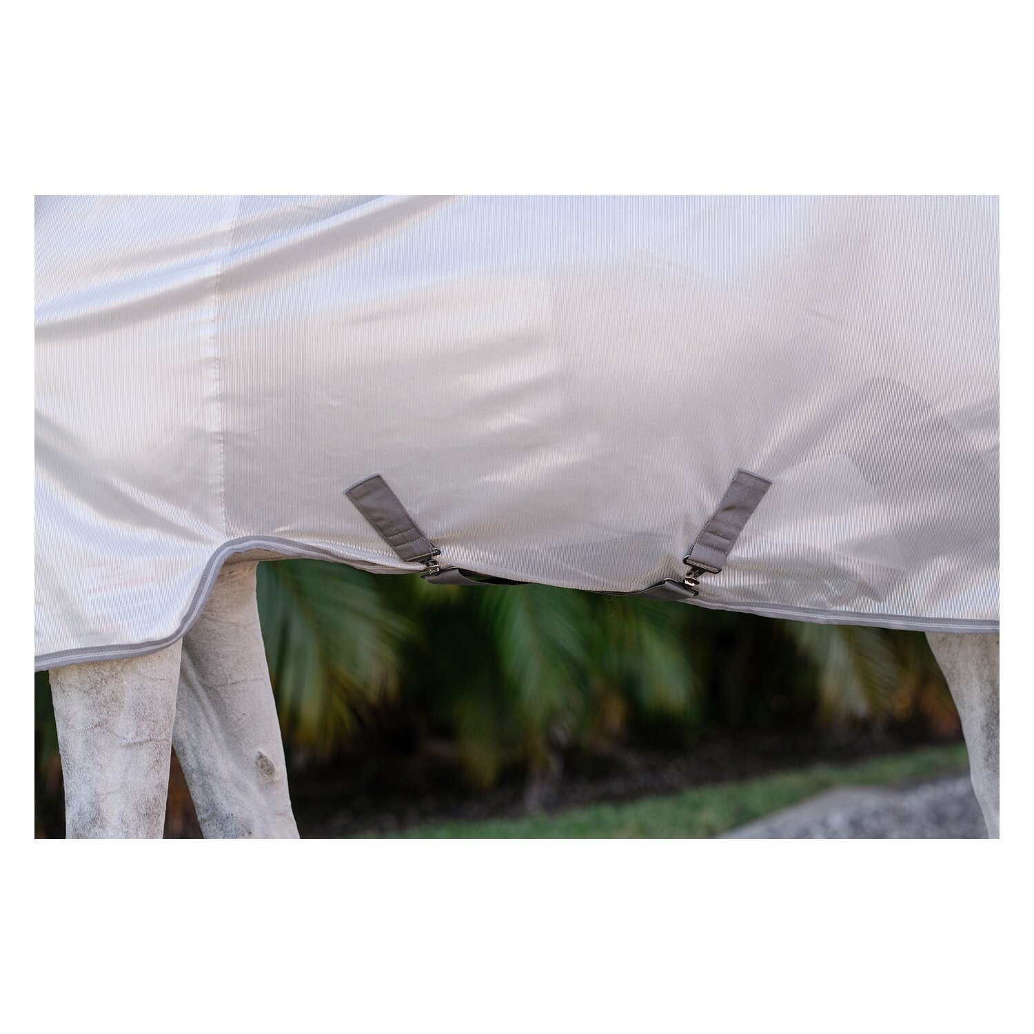 HORSEWARE Fliegendecke AMIGO Integrated Fly Sheet – Ansicht 2