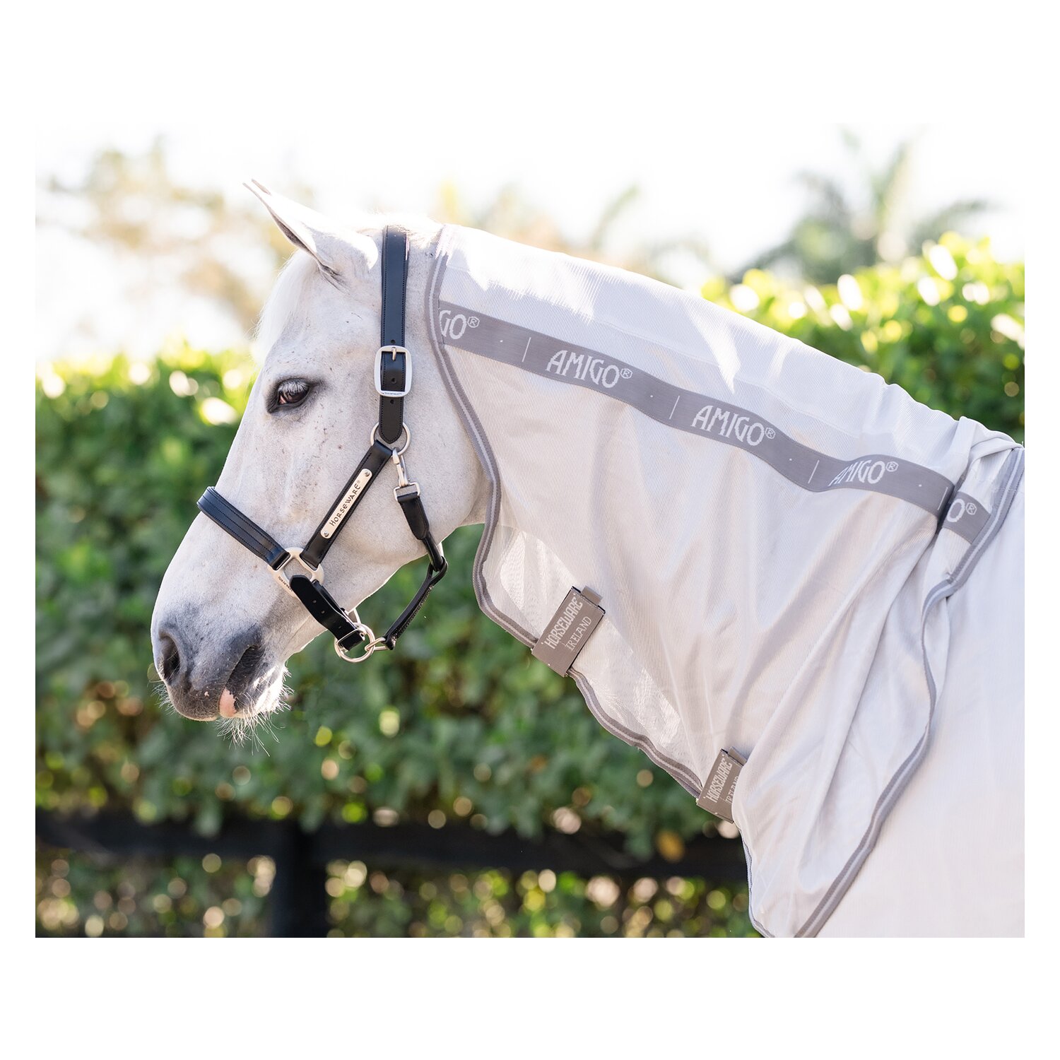 HORSEWARE Fliegendecke AMIGO Integrated Fly Sheet – Ansicht 3