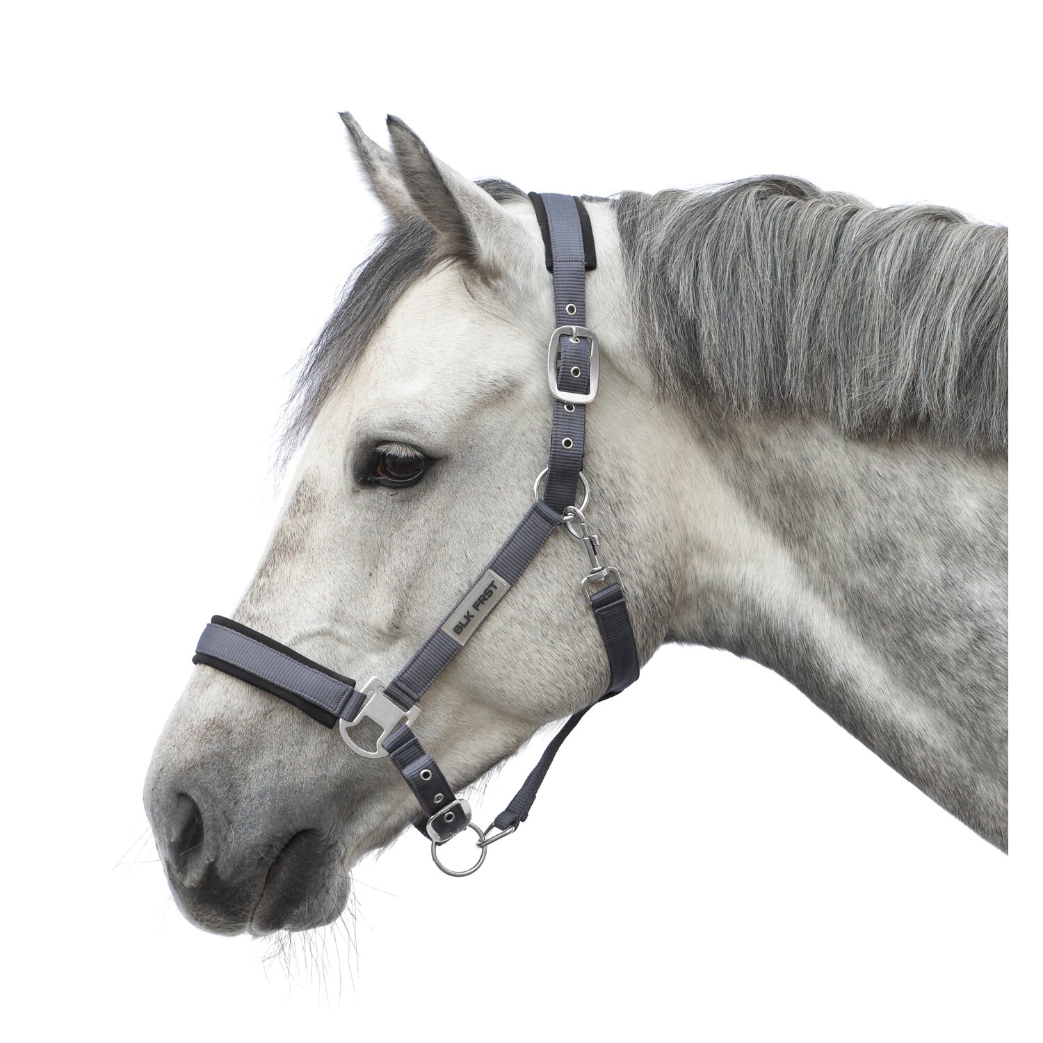 black forest Halfter – Ansicht 1