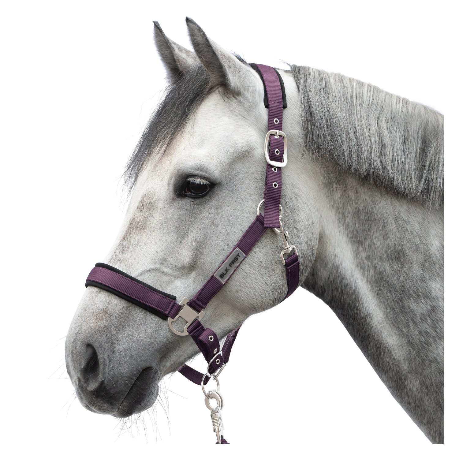 black forest Halfter – Ansicht 1