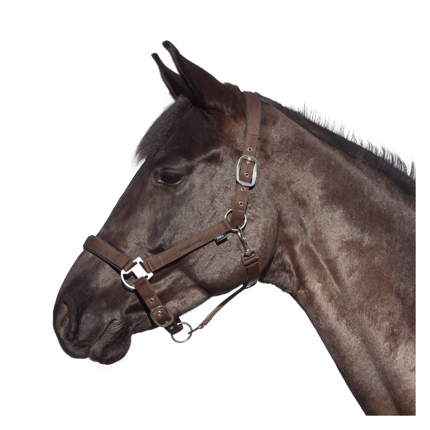 black forest Halfter – Ansicht 2