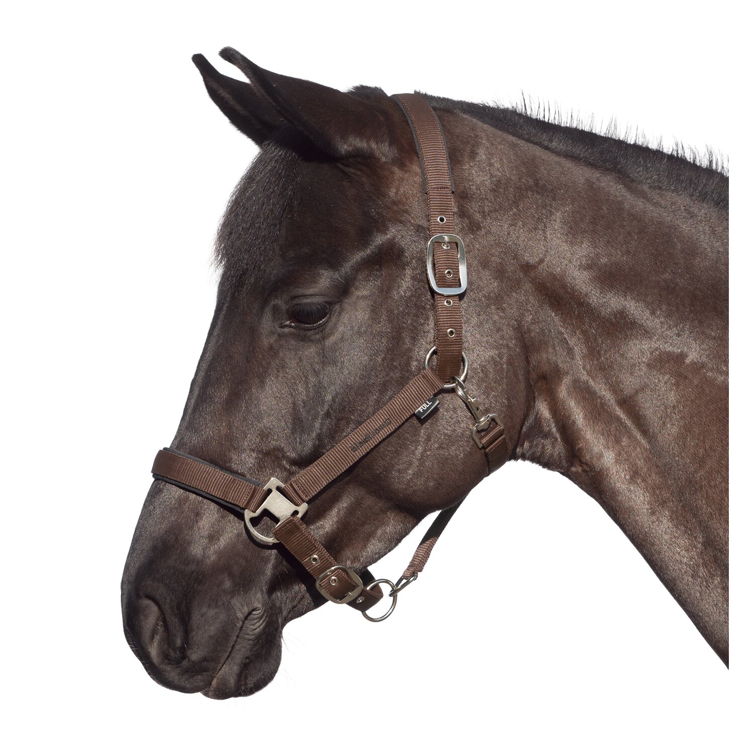 black forest Halfter – Ansicht 4