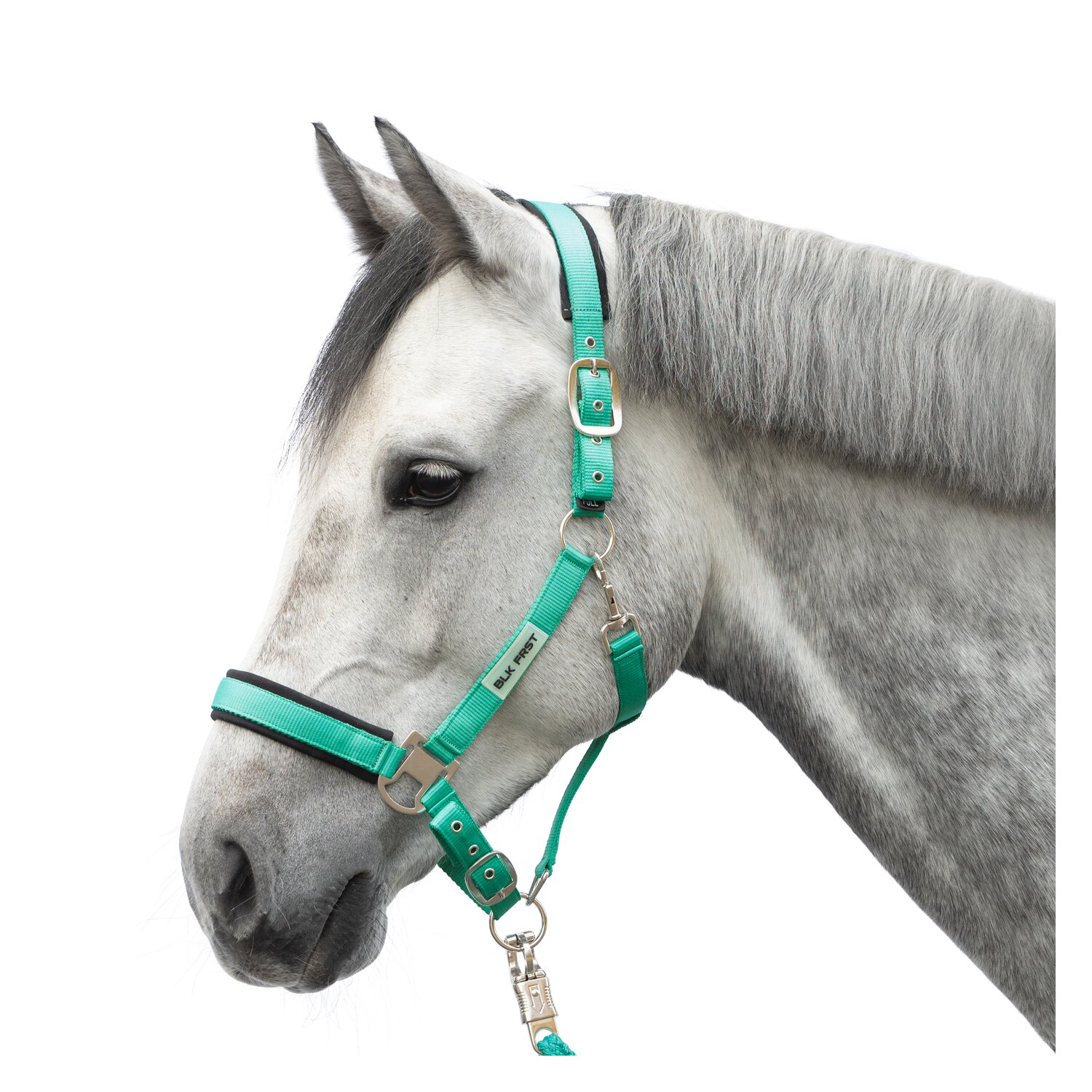 black forest Halfter – Ansicht 1