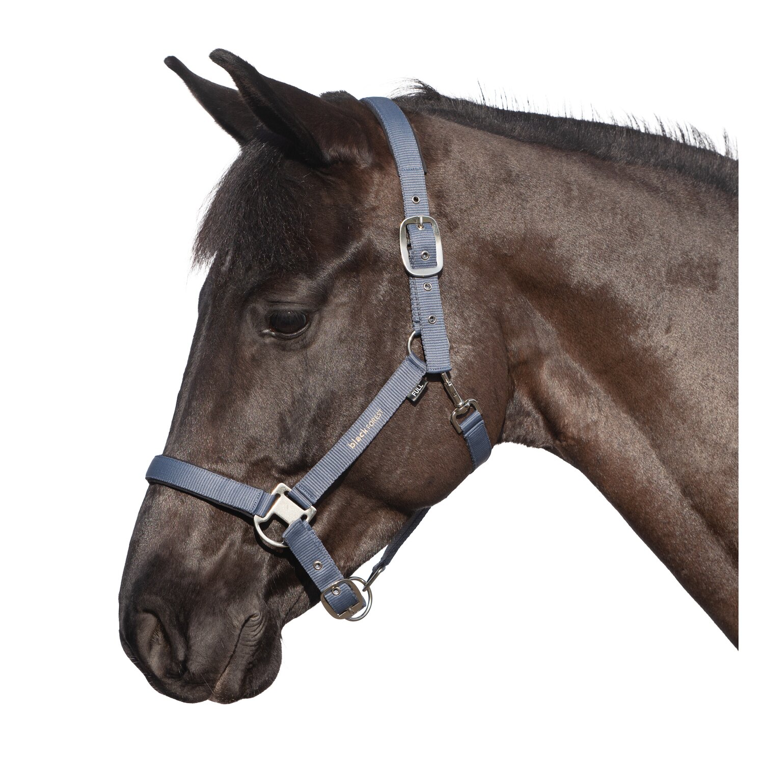 black forest Halfter – Ansicht 5