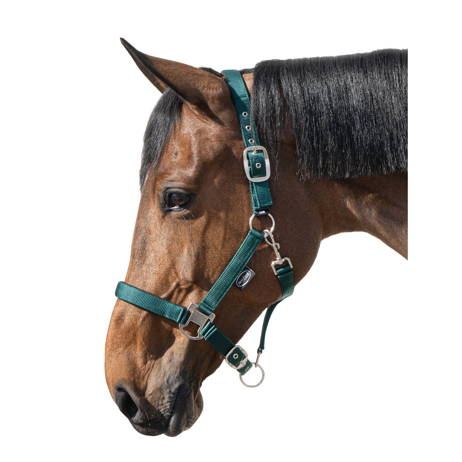 Horse-friends Halfter Basic &ndash; Ansicht 1