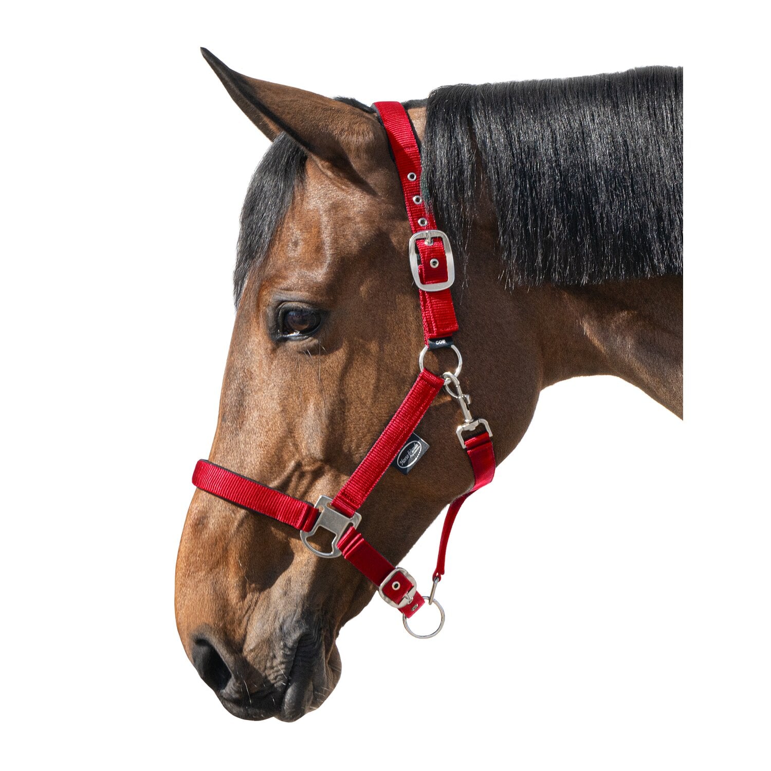 Horse-friends Halfter Basic &ndash; Ansicht 1