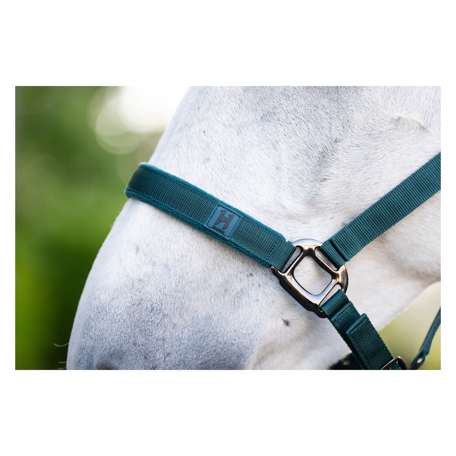 HORSEWARE Halfter und Führstrick – Ansicht 3