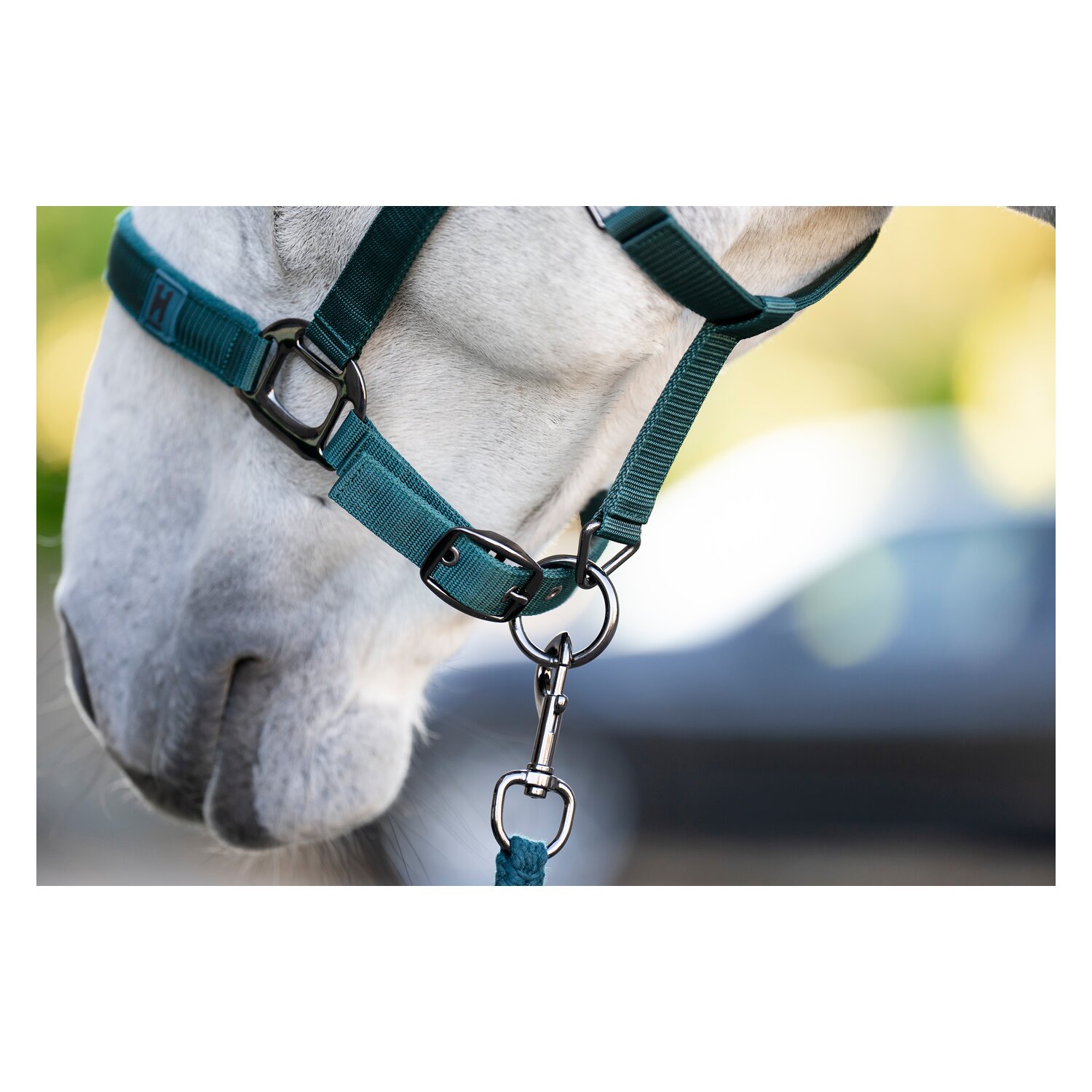 HORSEWARE Halfter und Führstrick – Ansicht 4