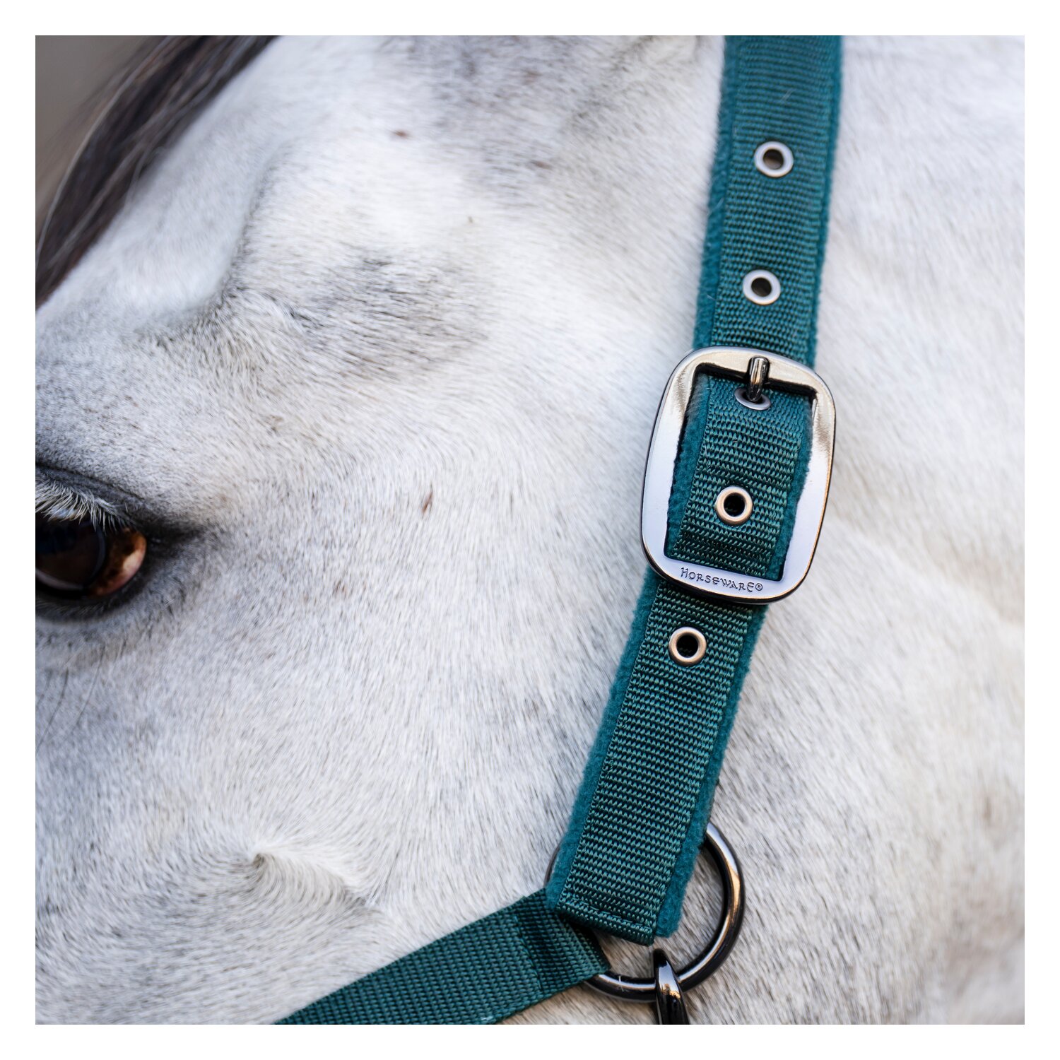 HORSEWARE Halfter und Führstrick – Ansicht 5