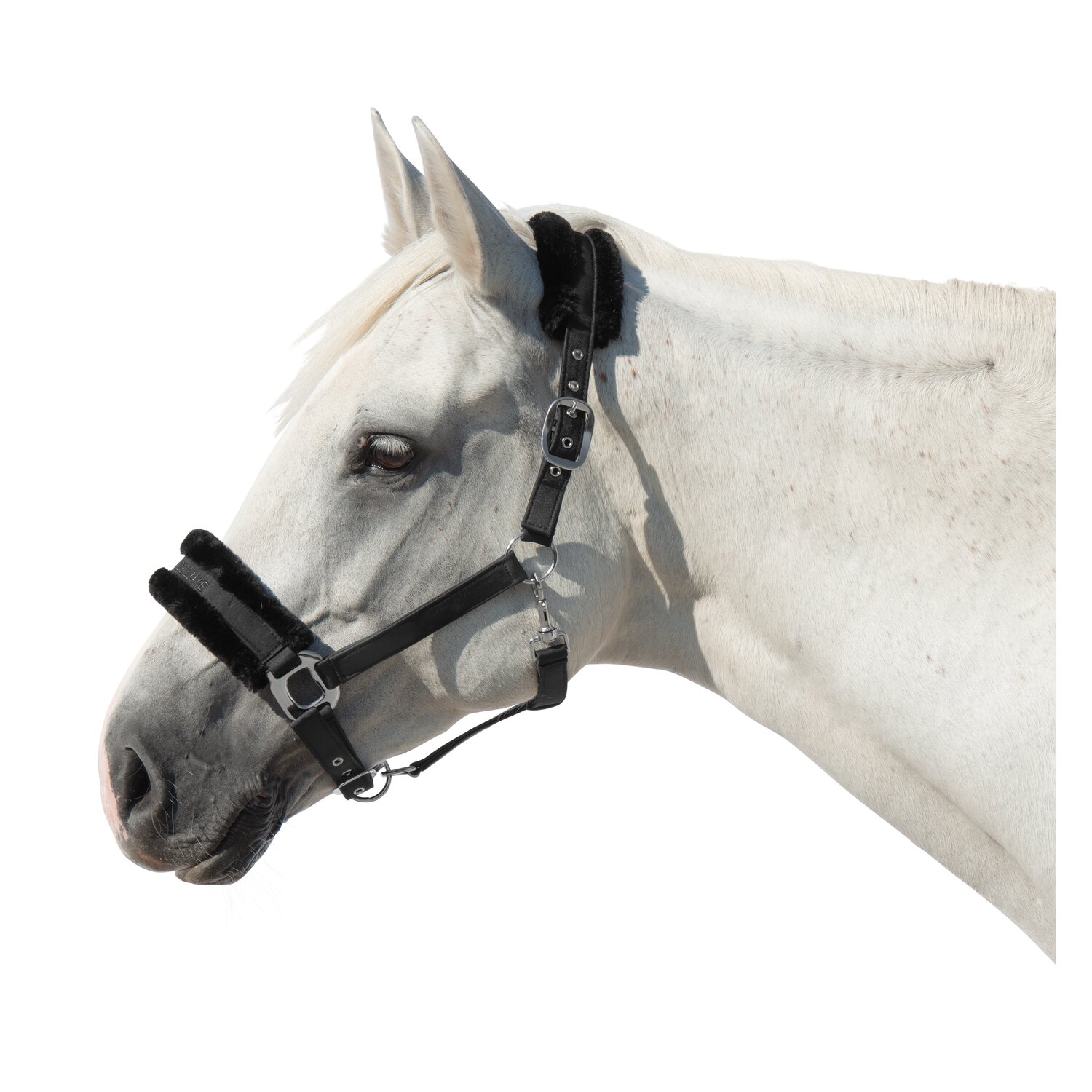 Cheval de Luxe Halfter Manila – Ansicht 1