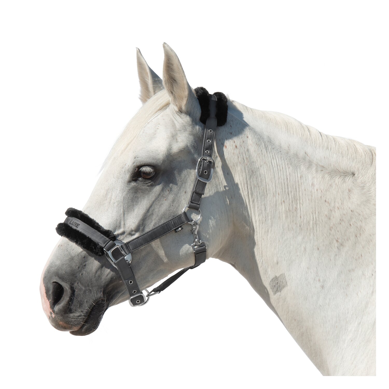 Cheval de Luxe Halfter Manila – Ansicht 1