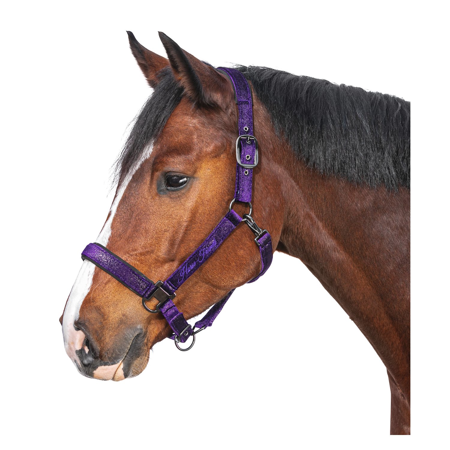 Horse-friends Halfter Athina – Ansicht 1