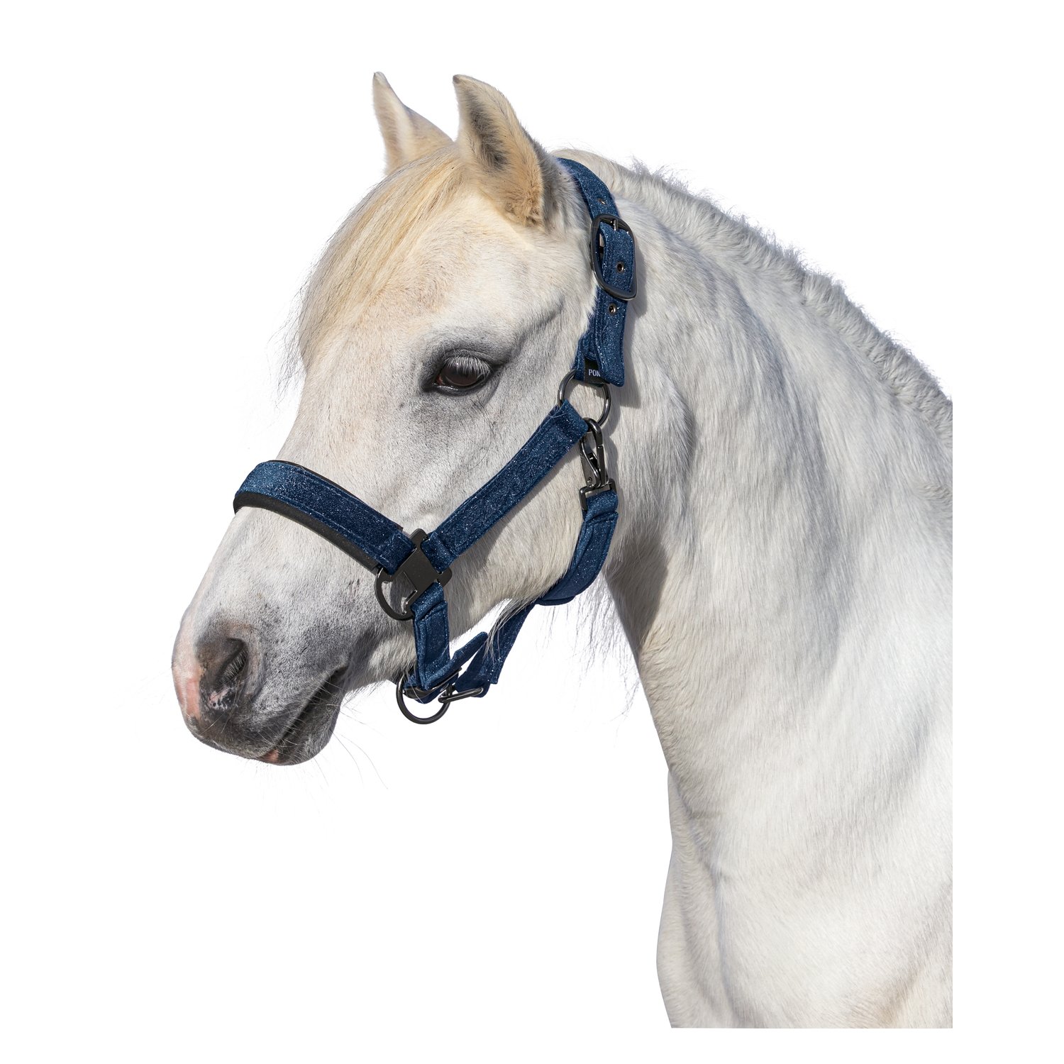 Horse-friends Halfter Athina – Ansicht 1
