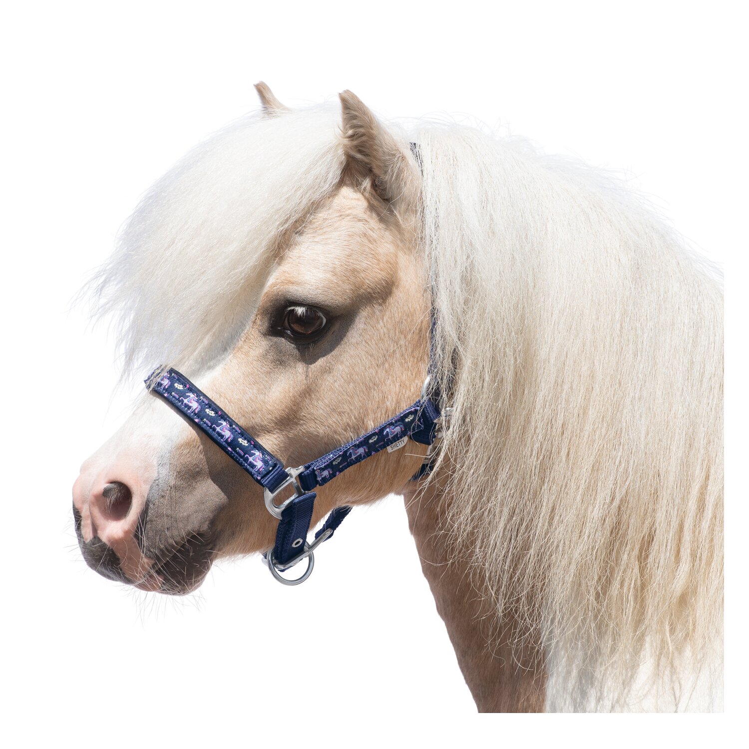 Horse-friends Halfter – Ansicht 1