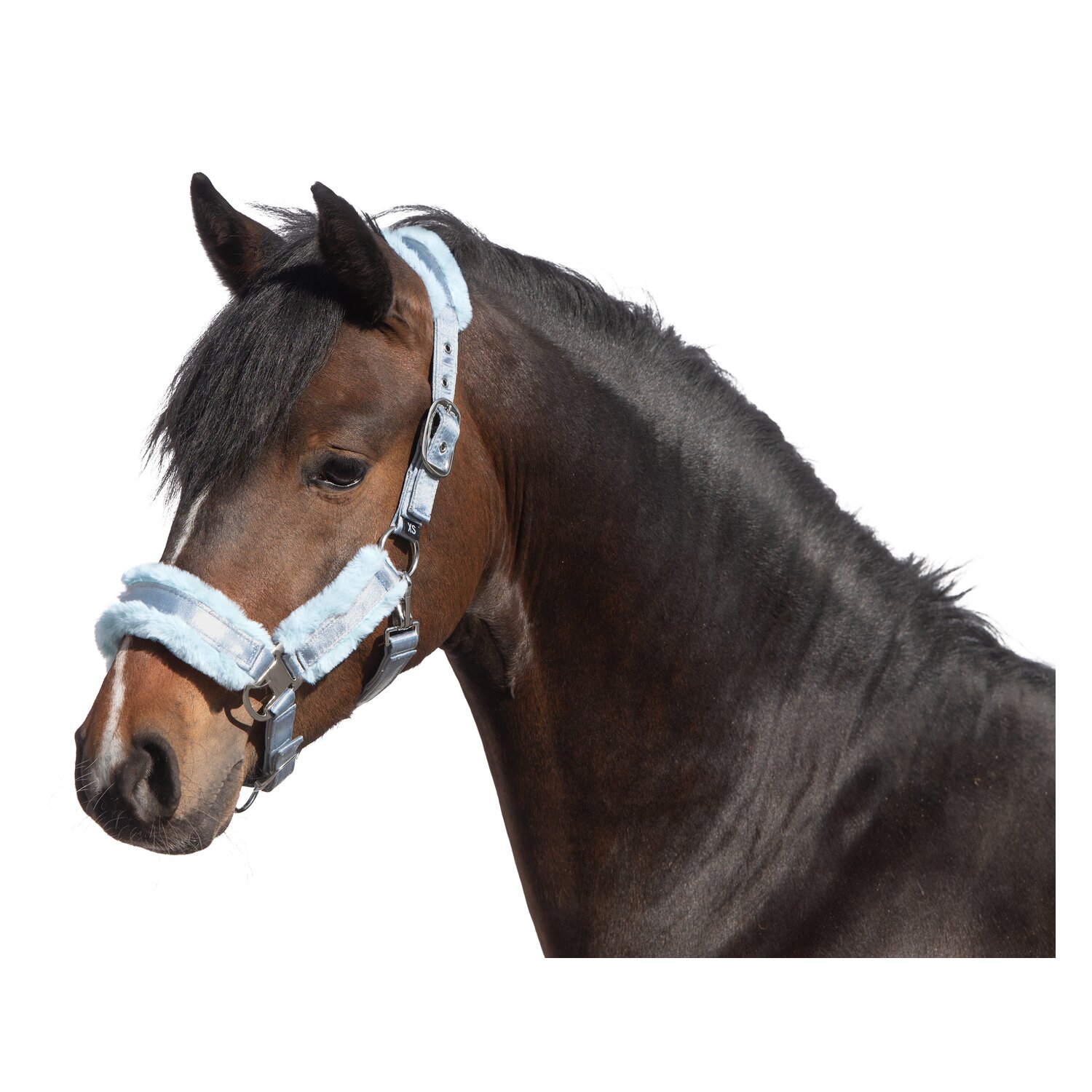 RIDE now Halfter Cairns – Ansicht 1