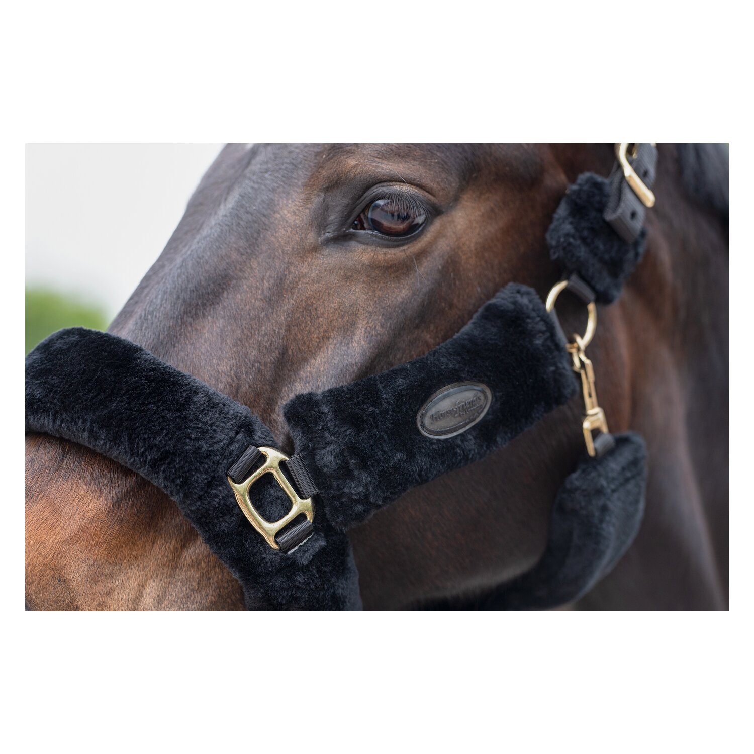 Horse-friends Plüschhalfter Almada – Ansicht 4