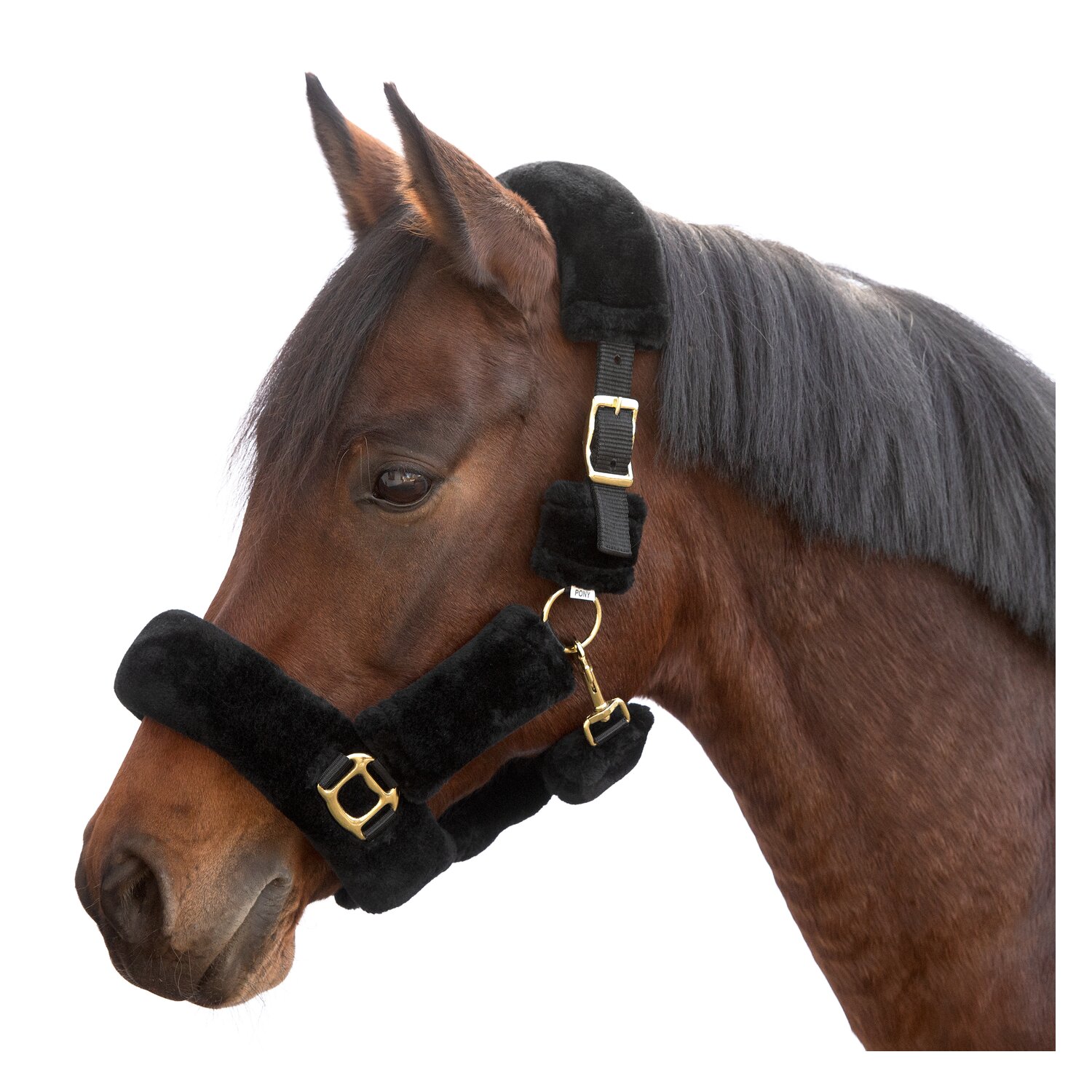 Horse-friends Plüschhalfter Almada – Ansicht 1