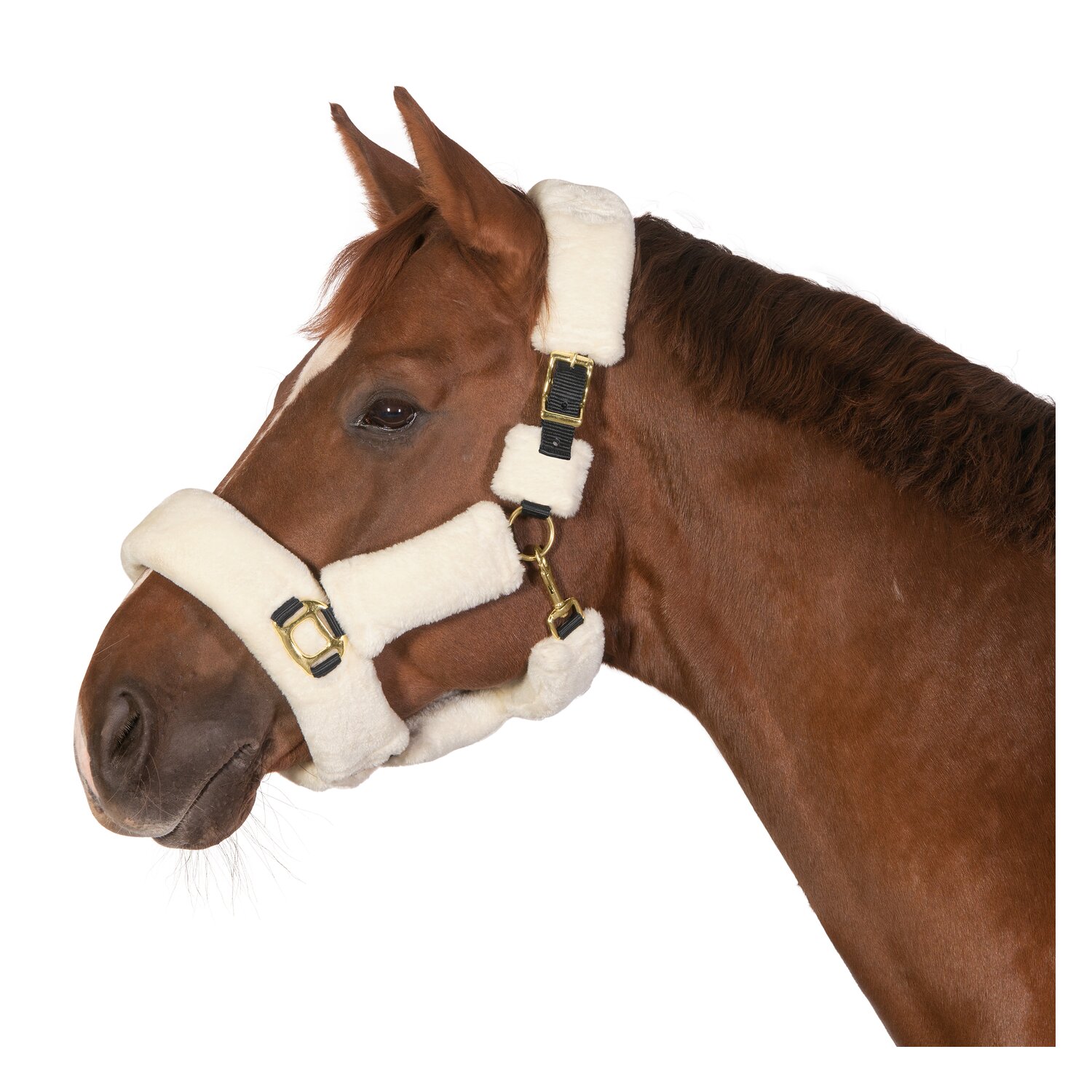 Horse-friends Plüschhalfter Almada – Ansicht 1