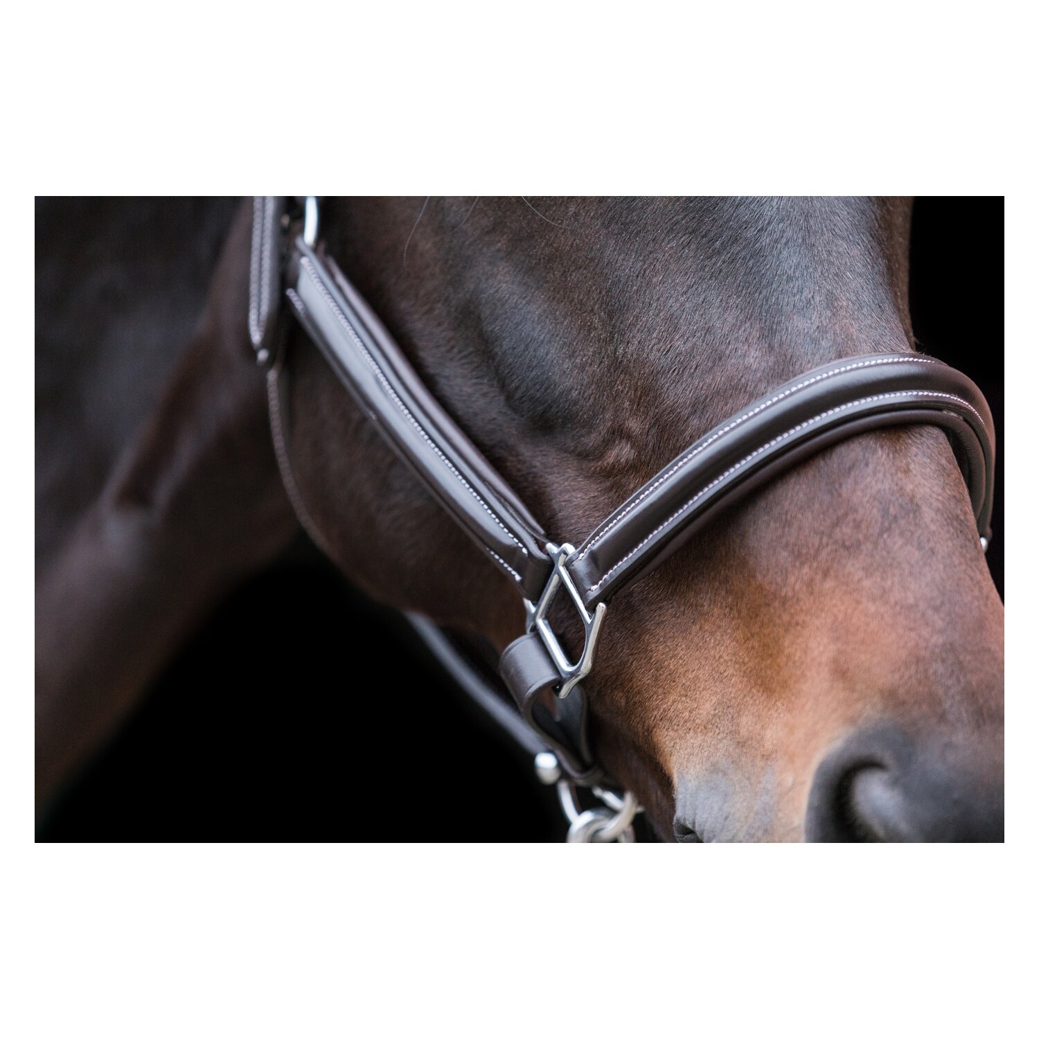 EQUINE MICROTEC Lederhalfter mit Kontrastnähten – Ansicht 2