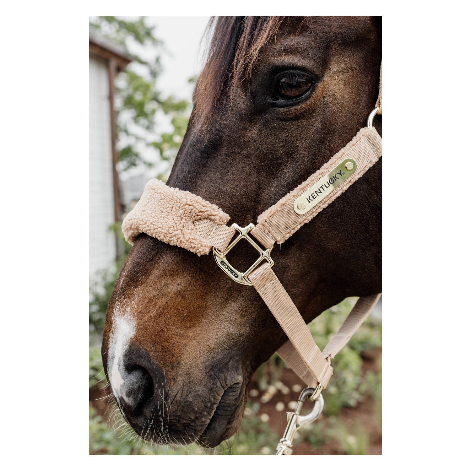 KENTUCKY Teddyfleece-Halfter – Ansicht 6