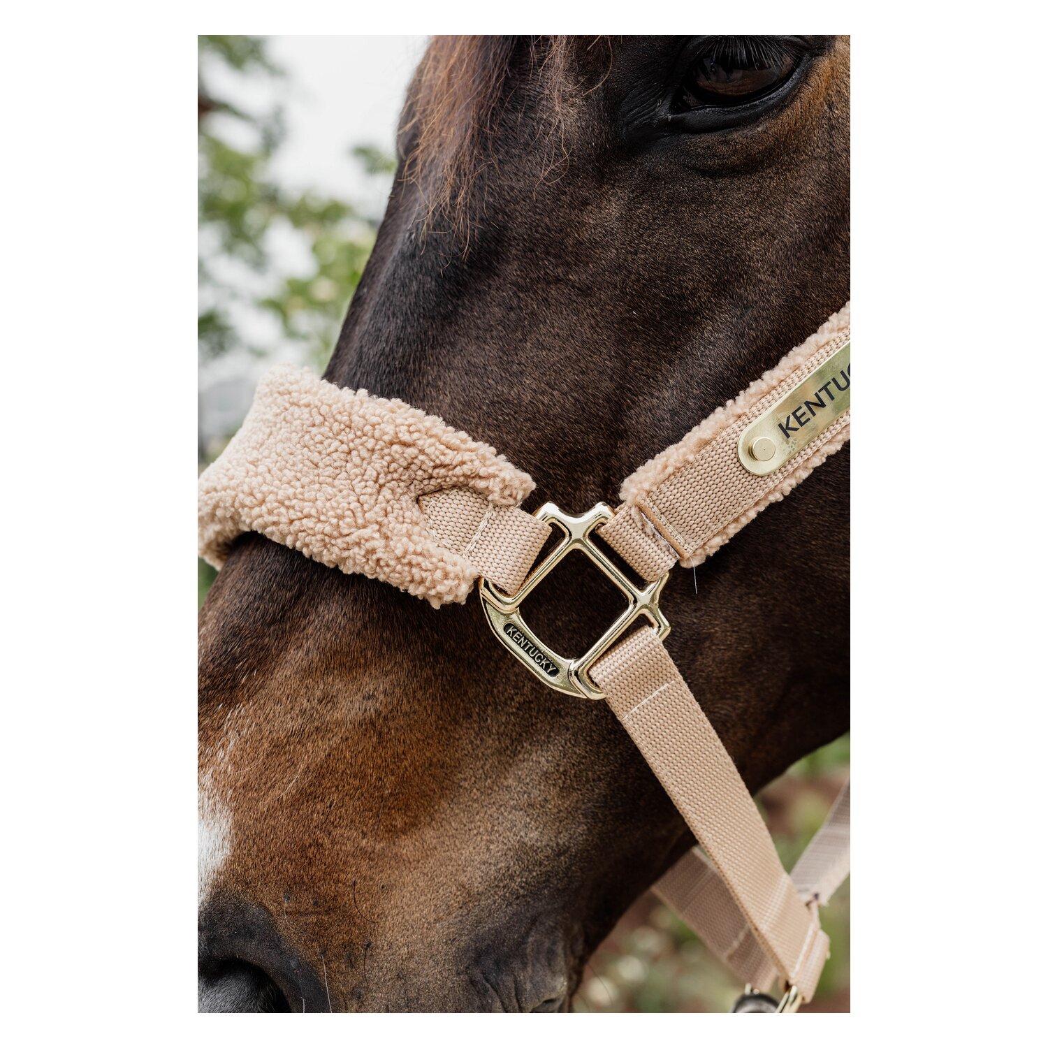 KENTUCKY Teddyfleece-Halfter – Ansicht 5