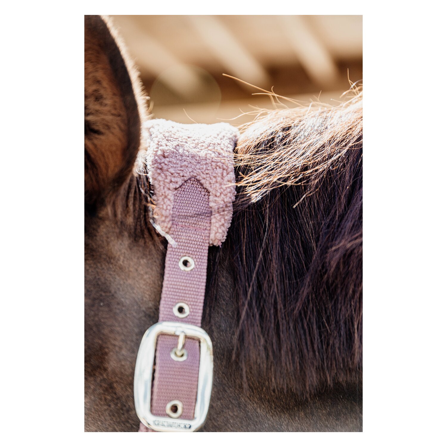 KENTUCKY Teddyfleece-Halfter – Ansicht 6