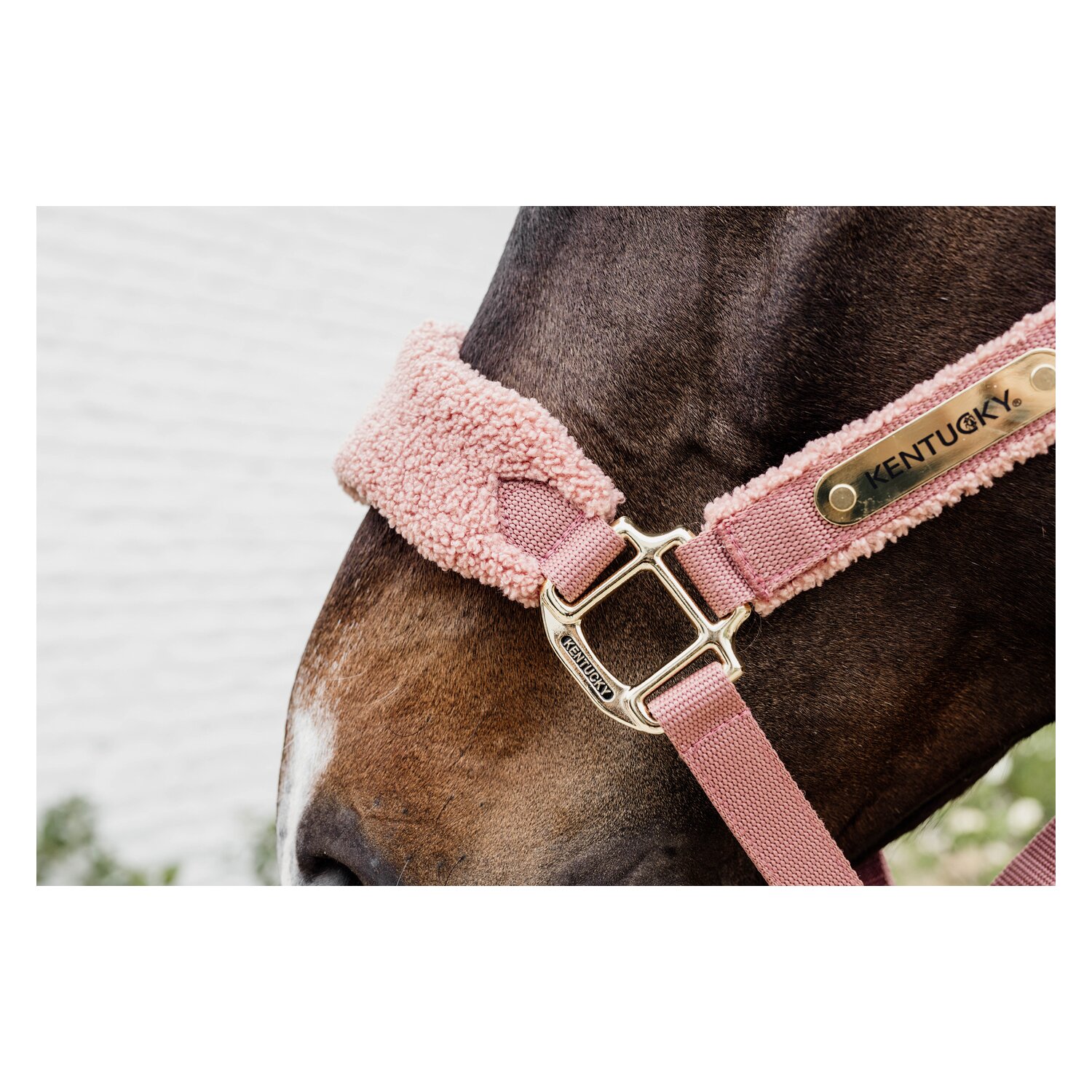 KENTUCKY Teddyfleece-Halfter – Ansicht 7